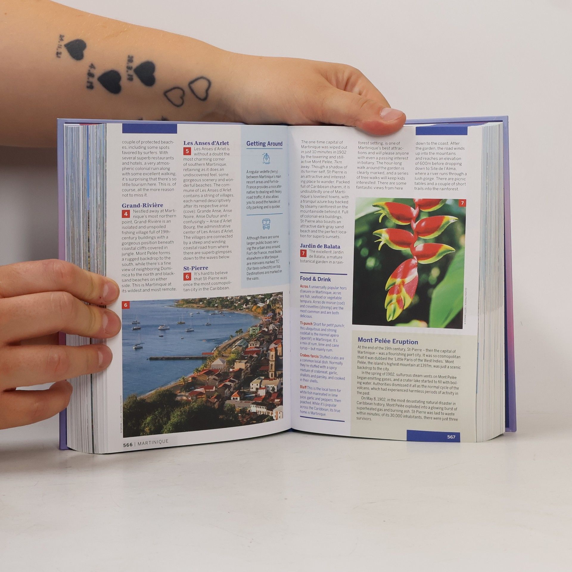 Autorenkollektiv The World : A Traveller's Guide to the Planet
