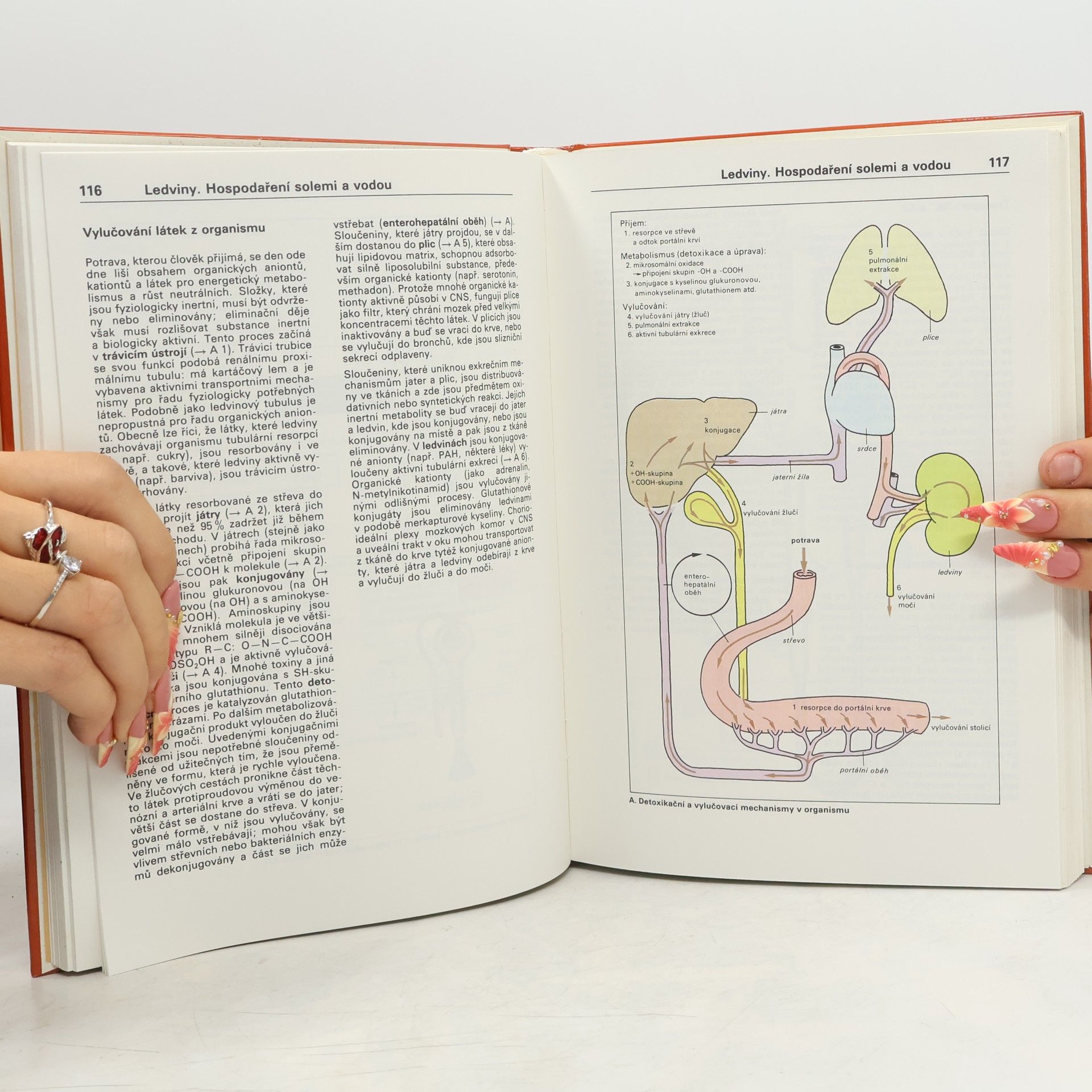 Stefan Silbernagl Atlas fyziologie člověka
