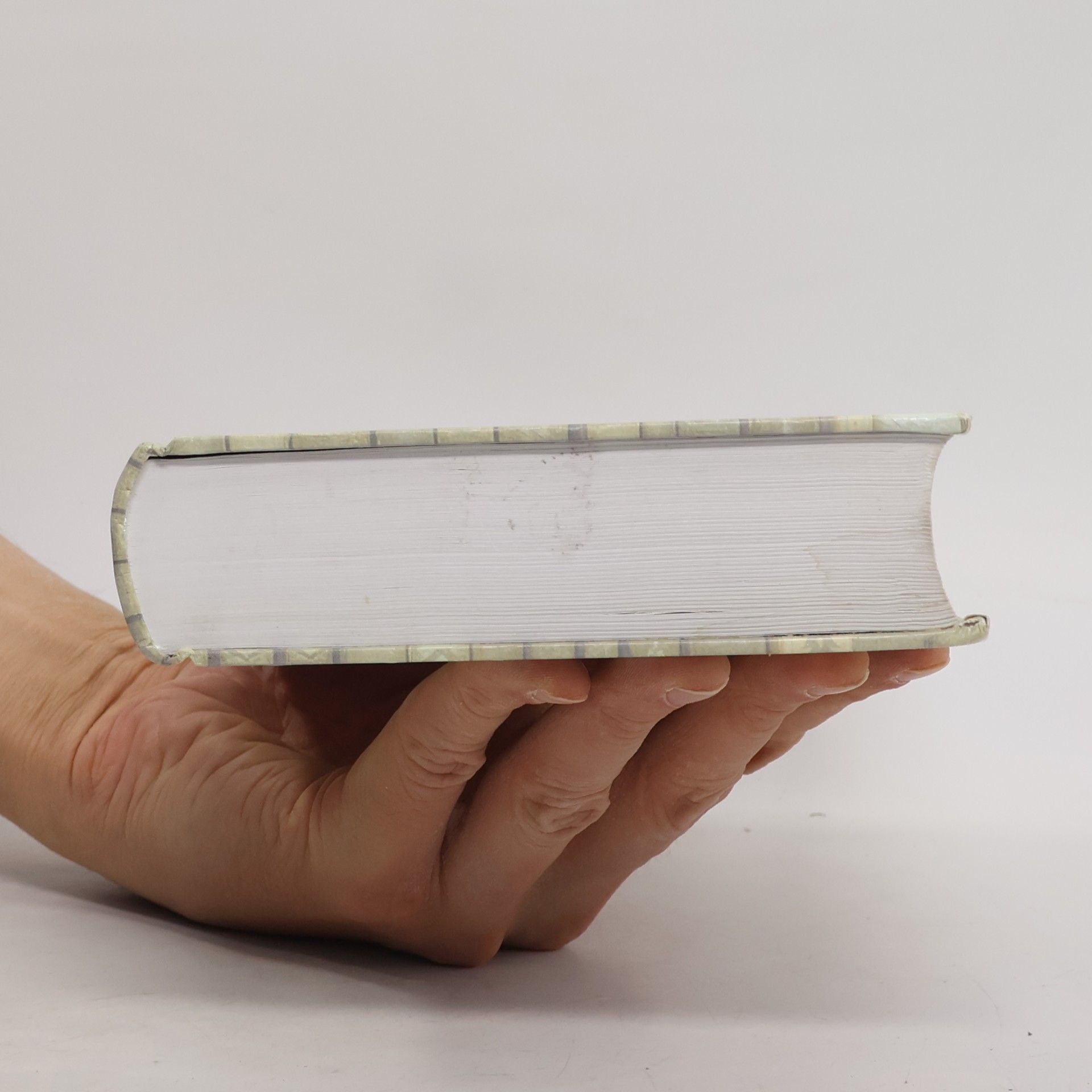 Jaroslava Janáčková Kniha textů 2. Česká literatura od počátků k dnešku. 19. století