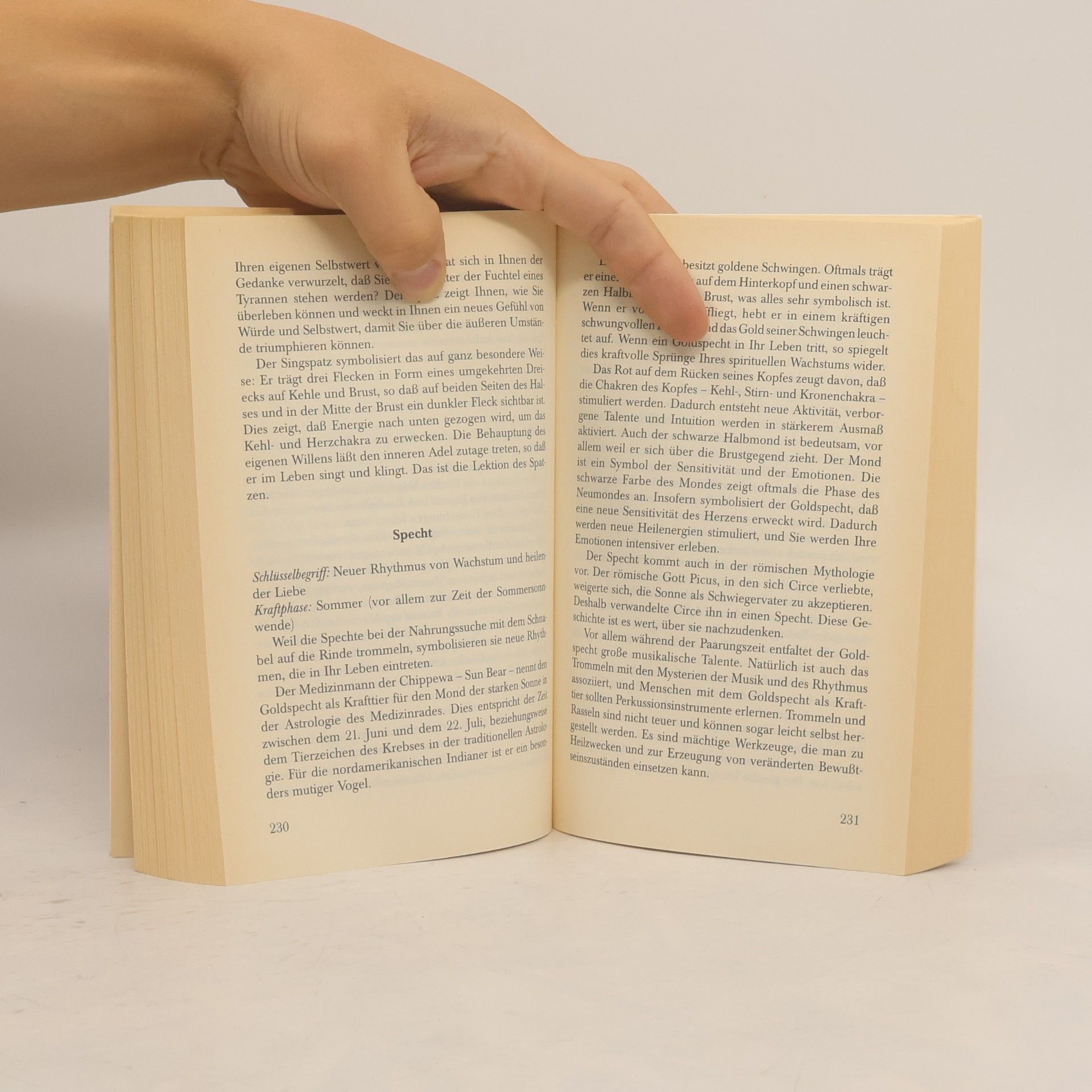 Ted Andrews Die Botschaft der Krafttiere