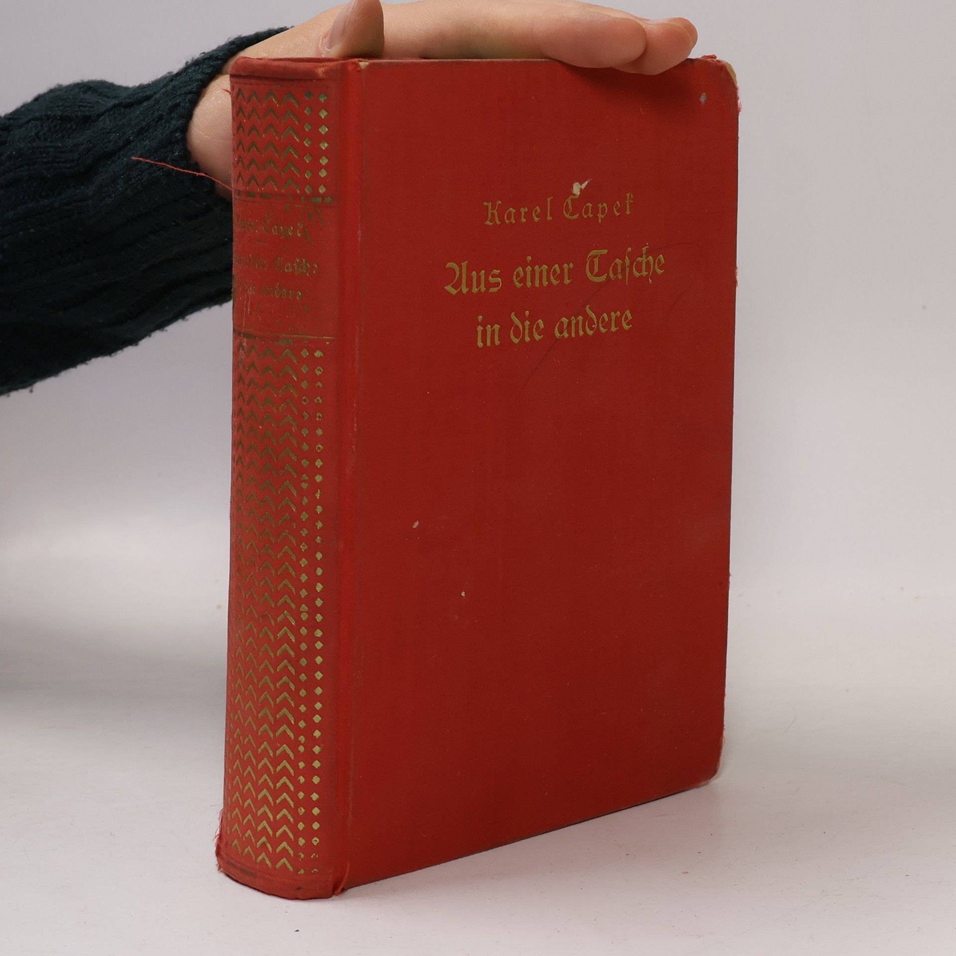 Karel Čapek Aus einer Tasche in die andere