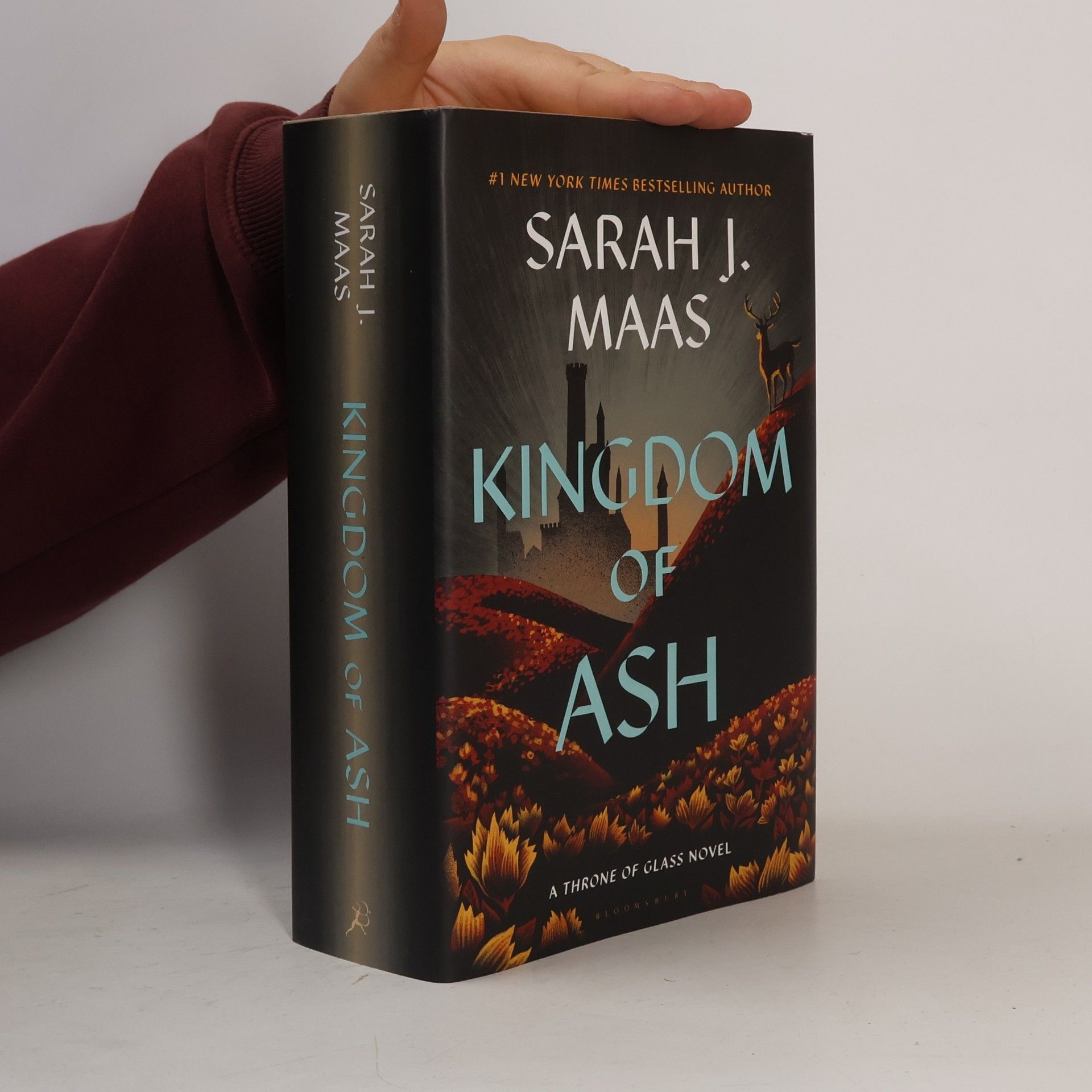 Sarah J. Maas Kingdom of Ash