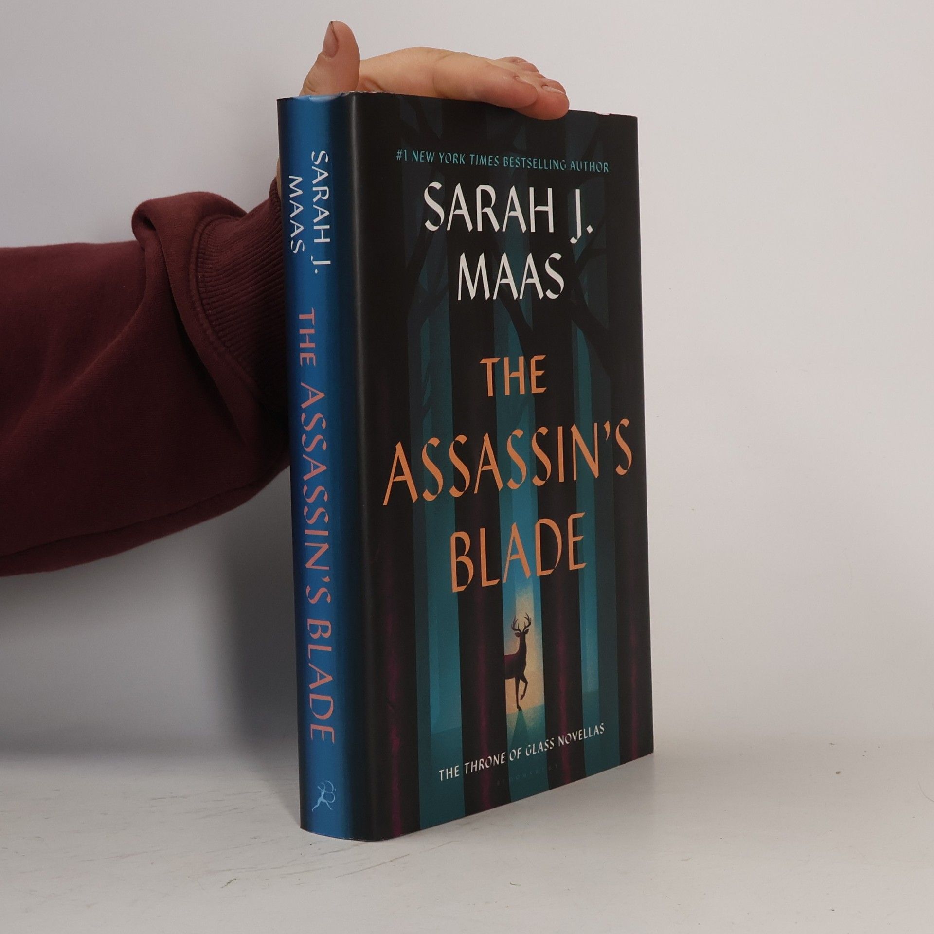 Sarah J. Maas The Assassin's Blade