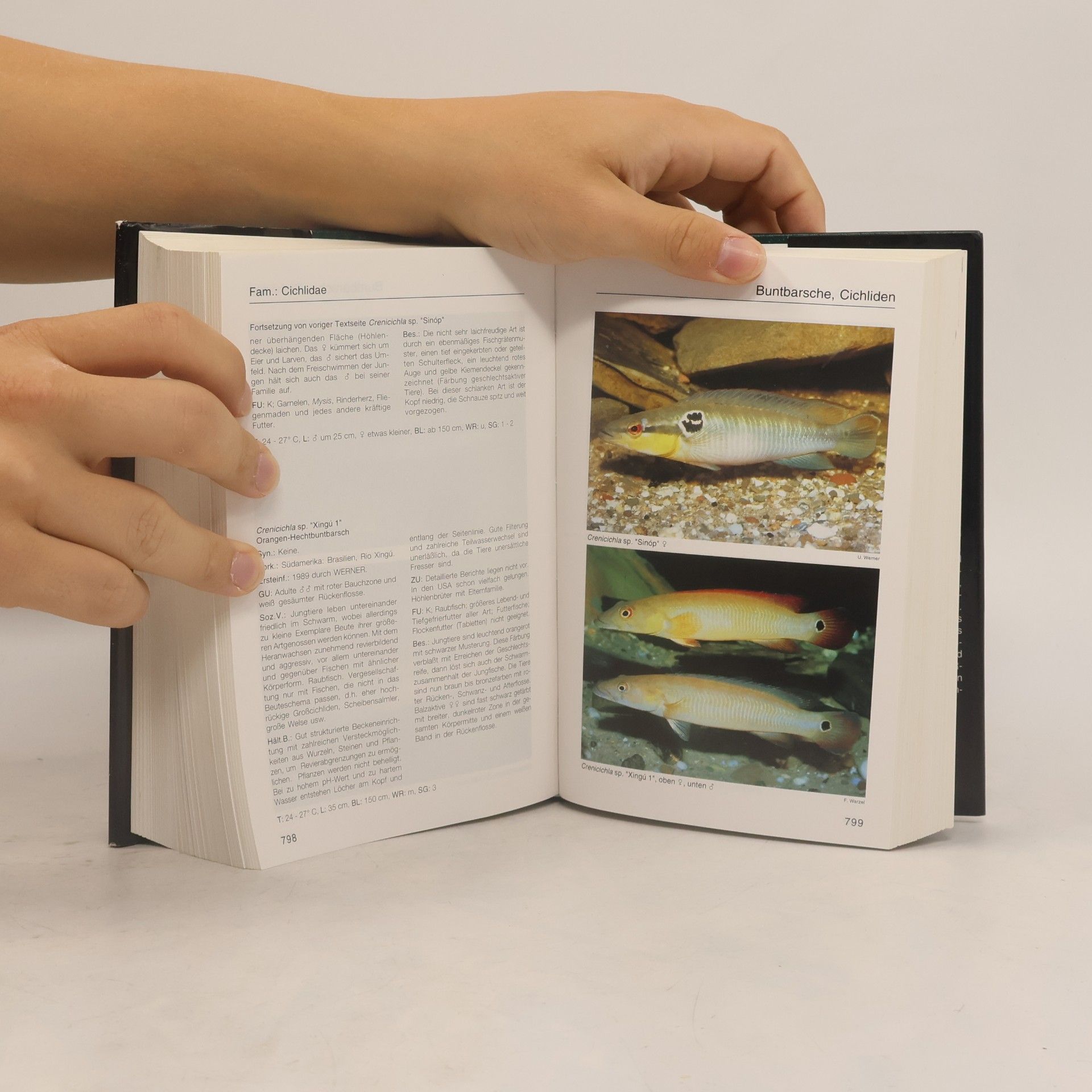 Kolektiv autorů Aquarien-Atlas