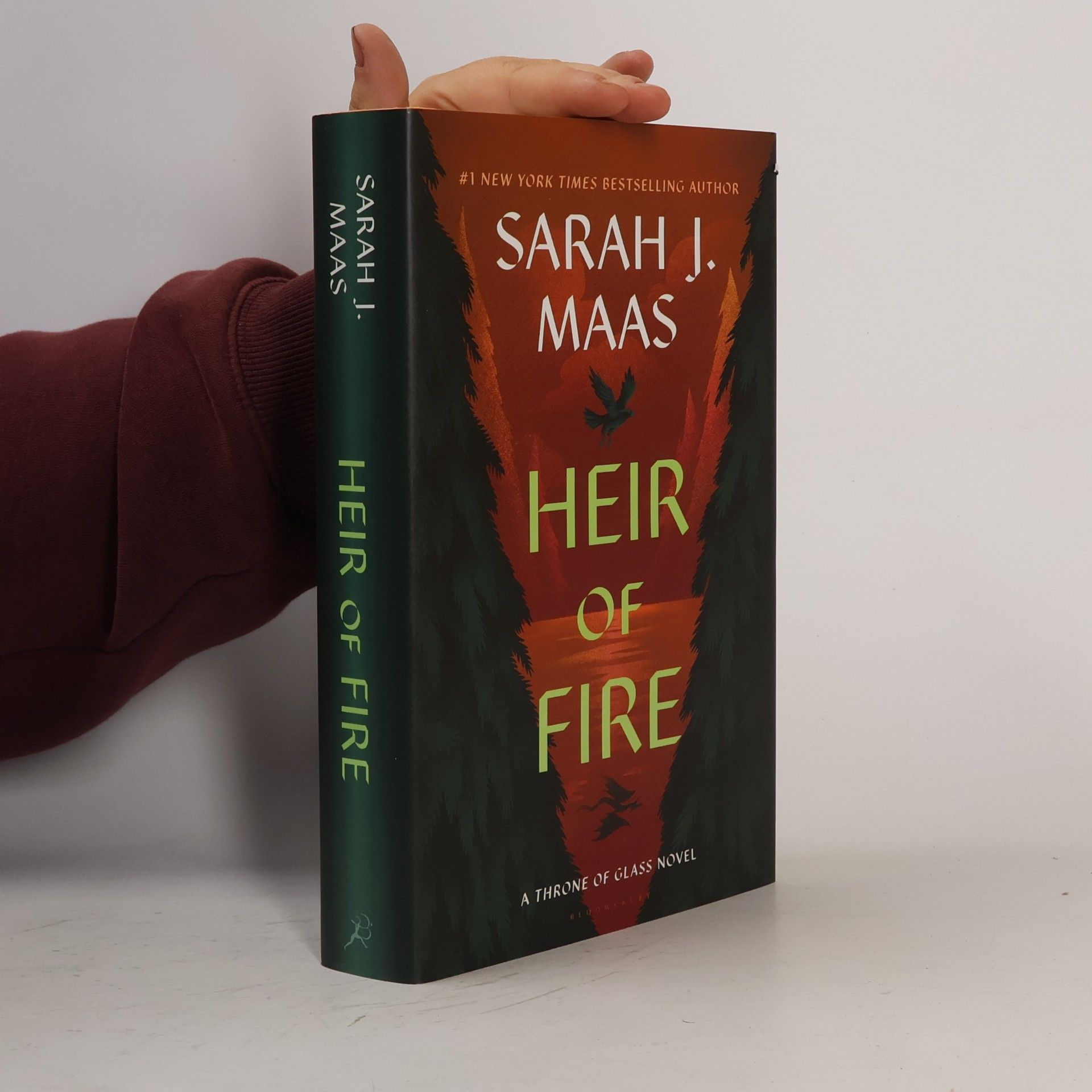 Sarah J. Maas Heir of Fire