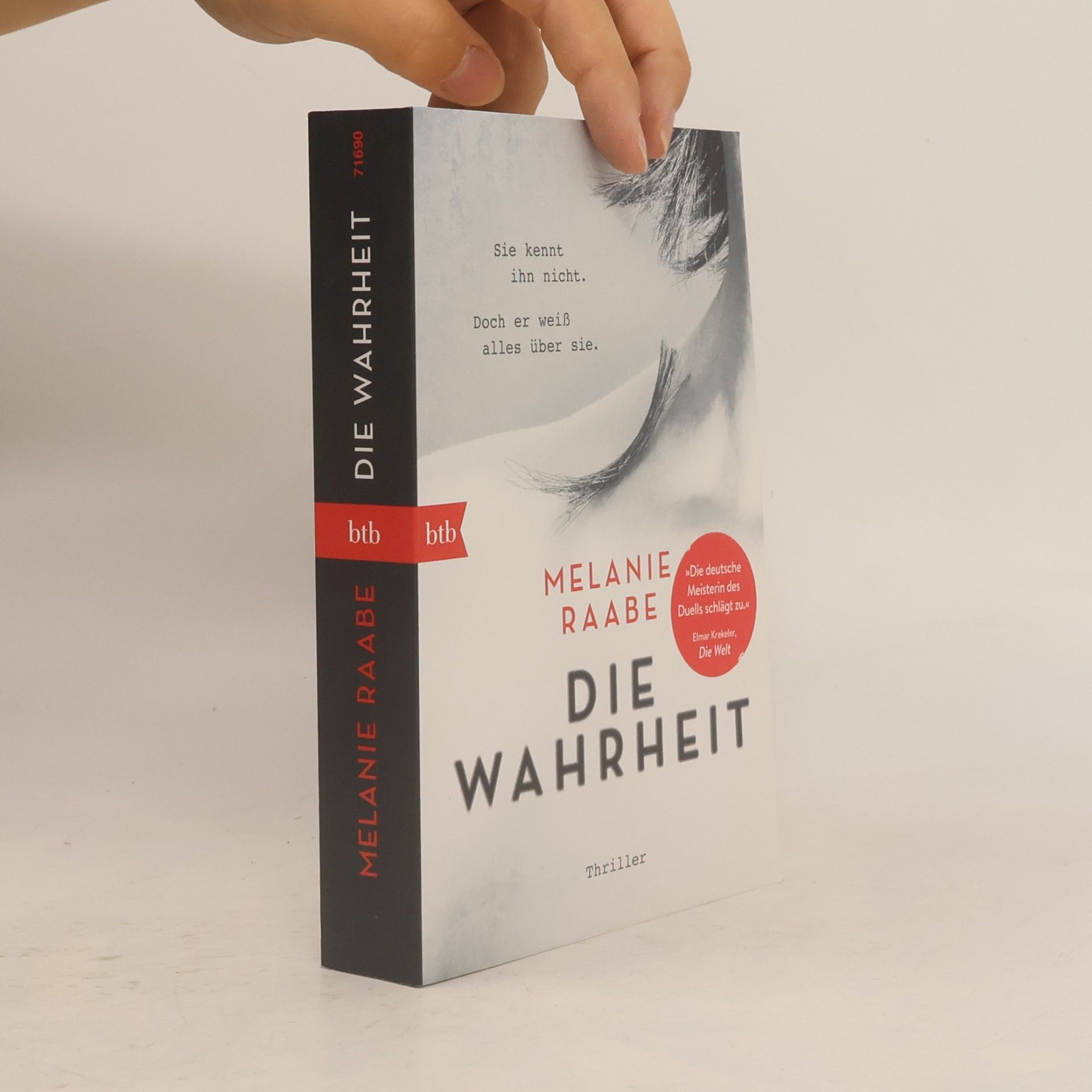 Melanie Raabe Die Wahrheit