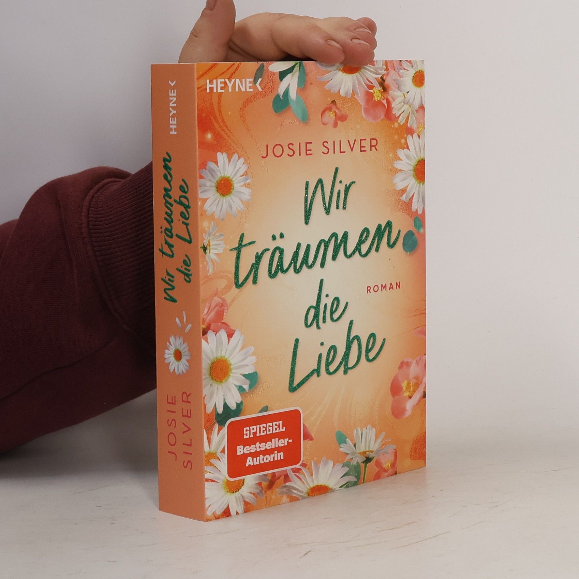 Josie Silver Wir träumen die Liebe