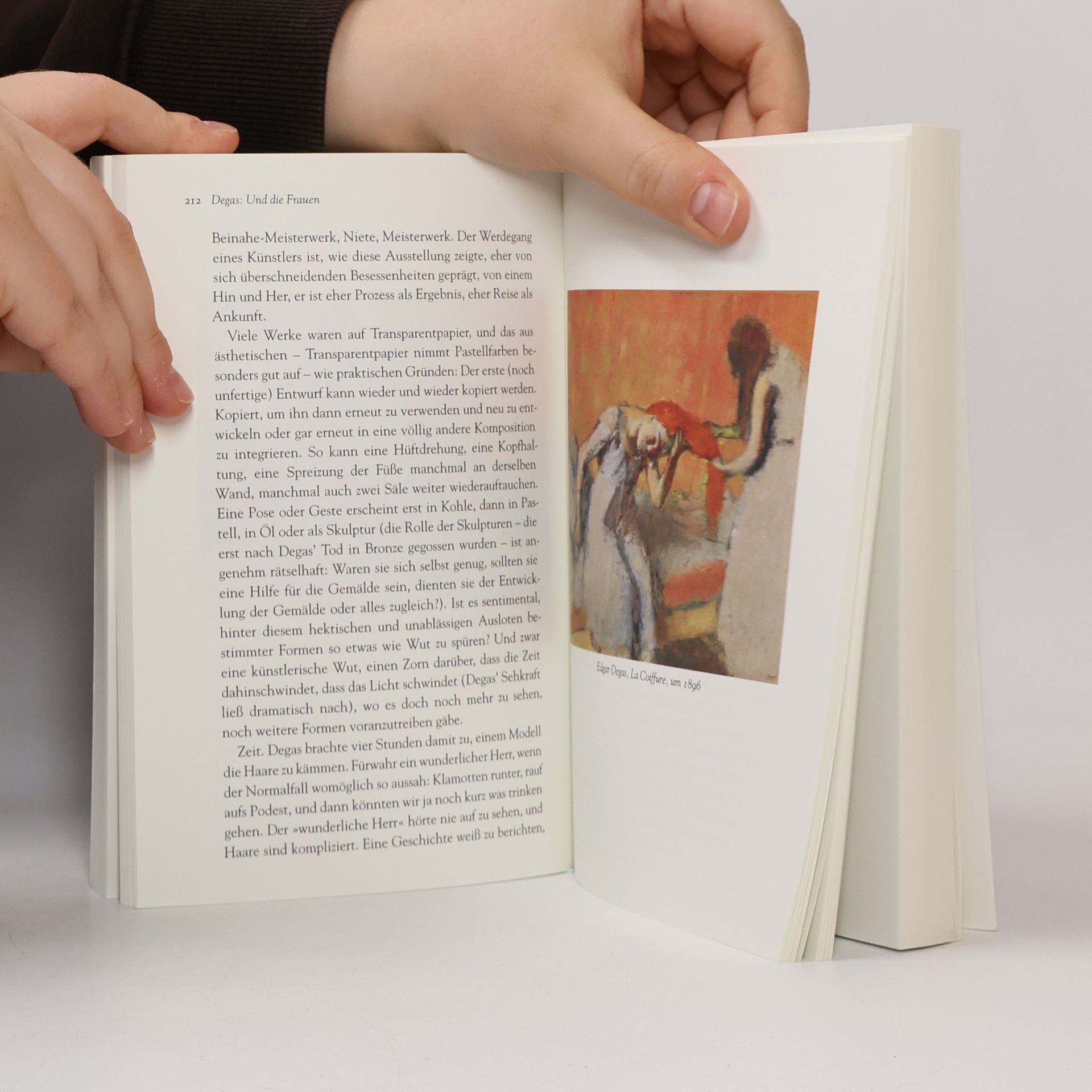 Julian Barnes Kunst sehen