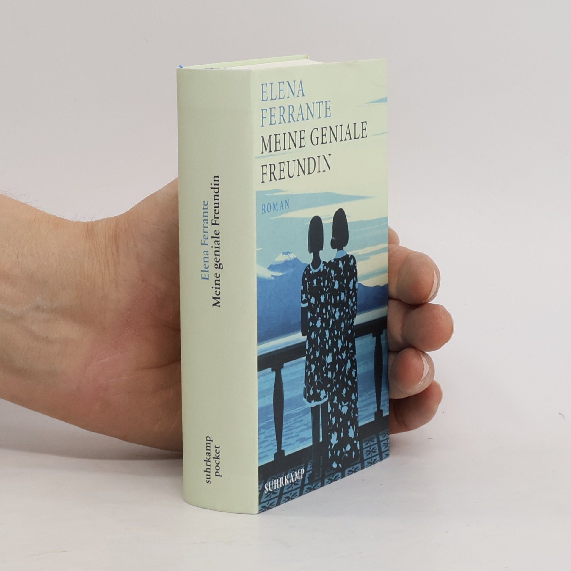 Elena Ferrante Meine geniale Freundin