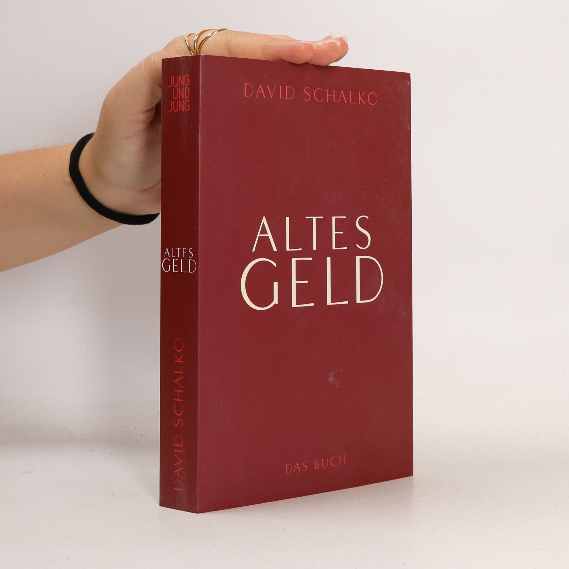 David Schalko Altes Geld