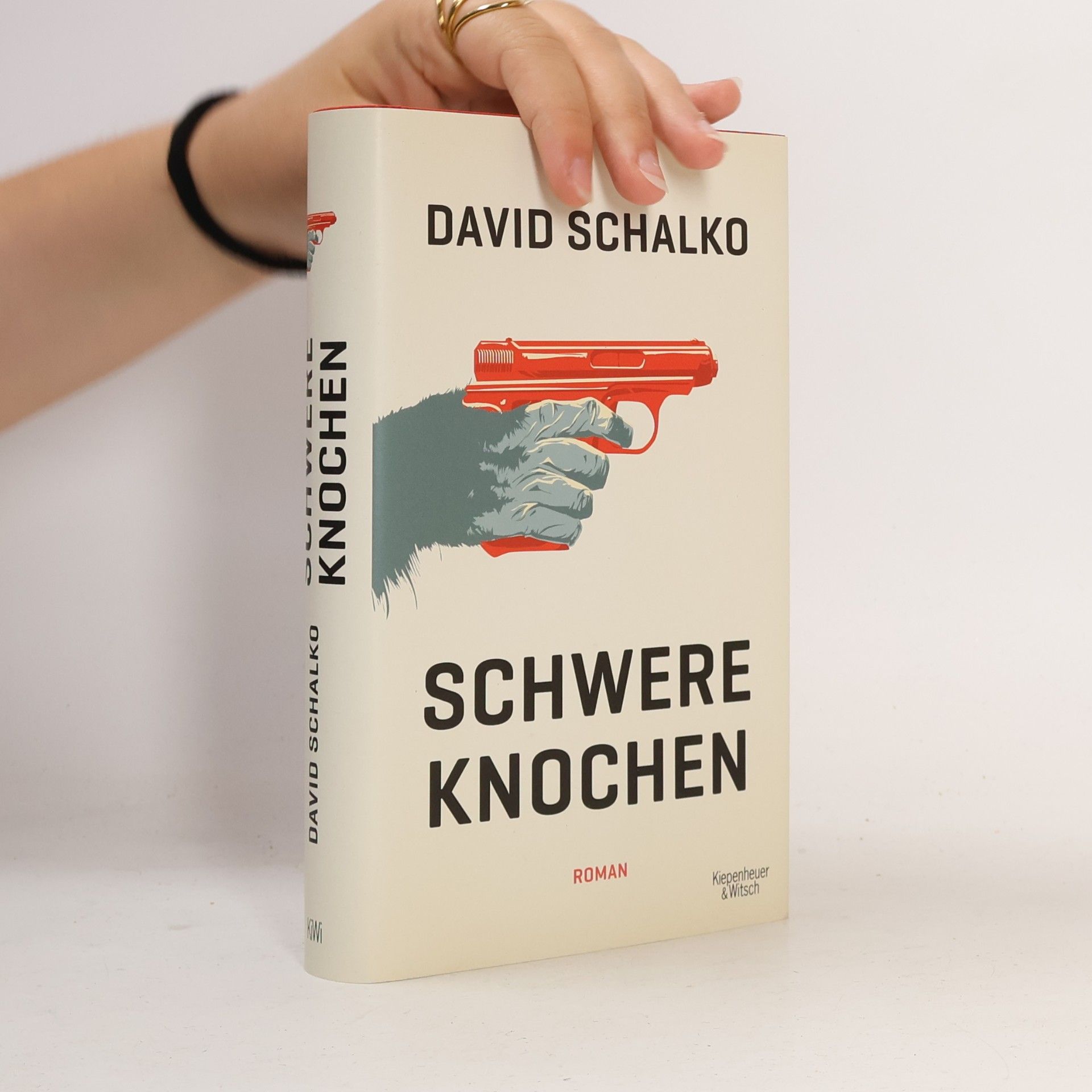 David Schalko Schwere Knochen