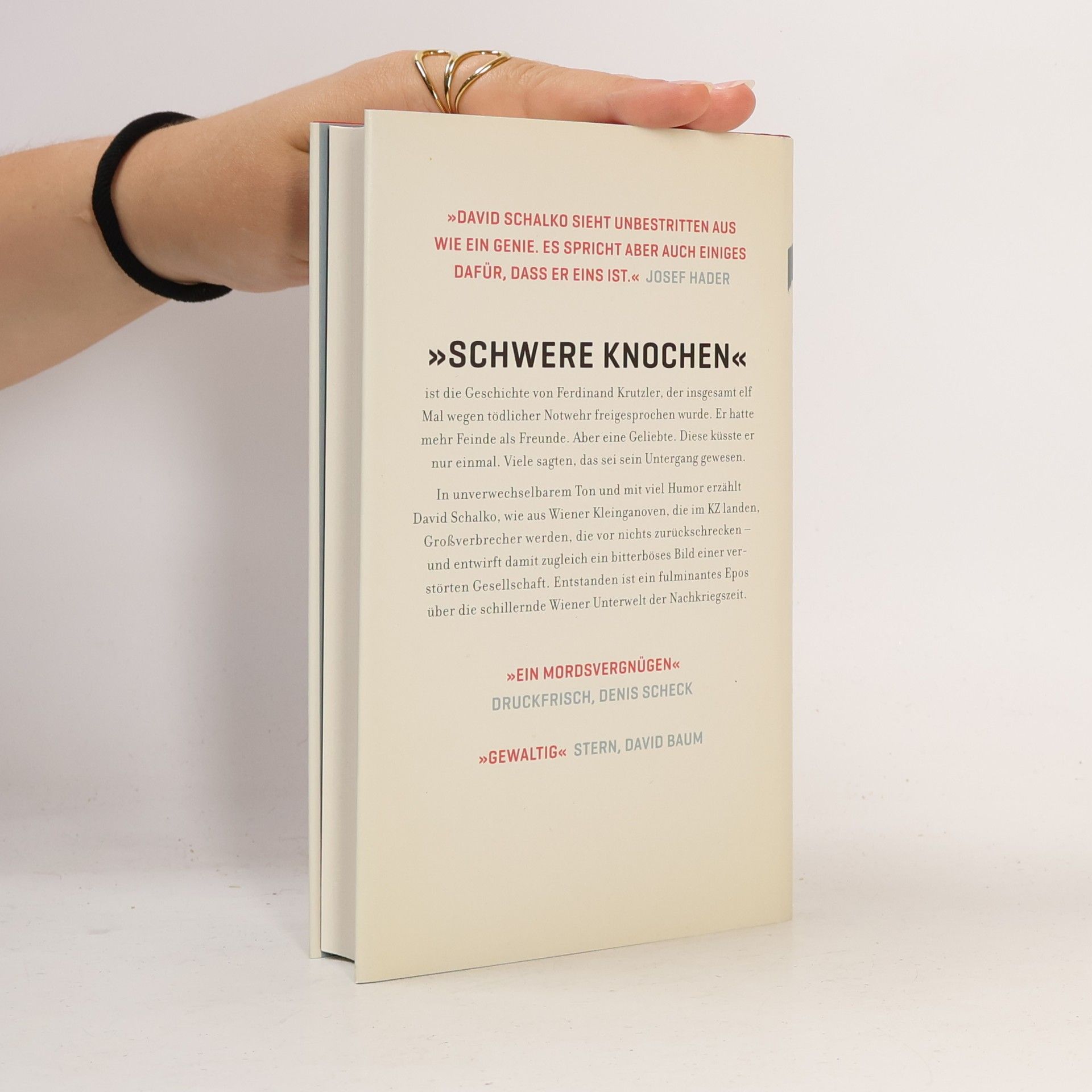 David Schalko Schwere Knochen