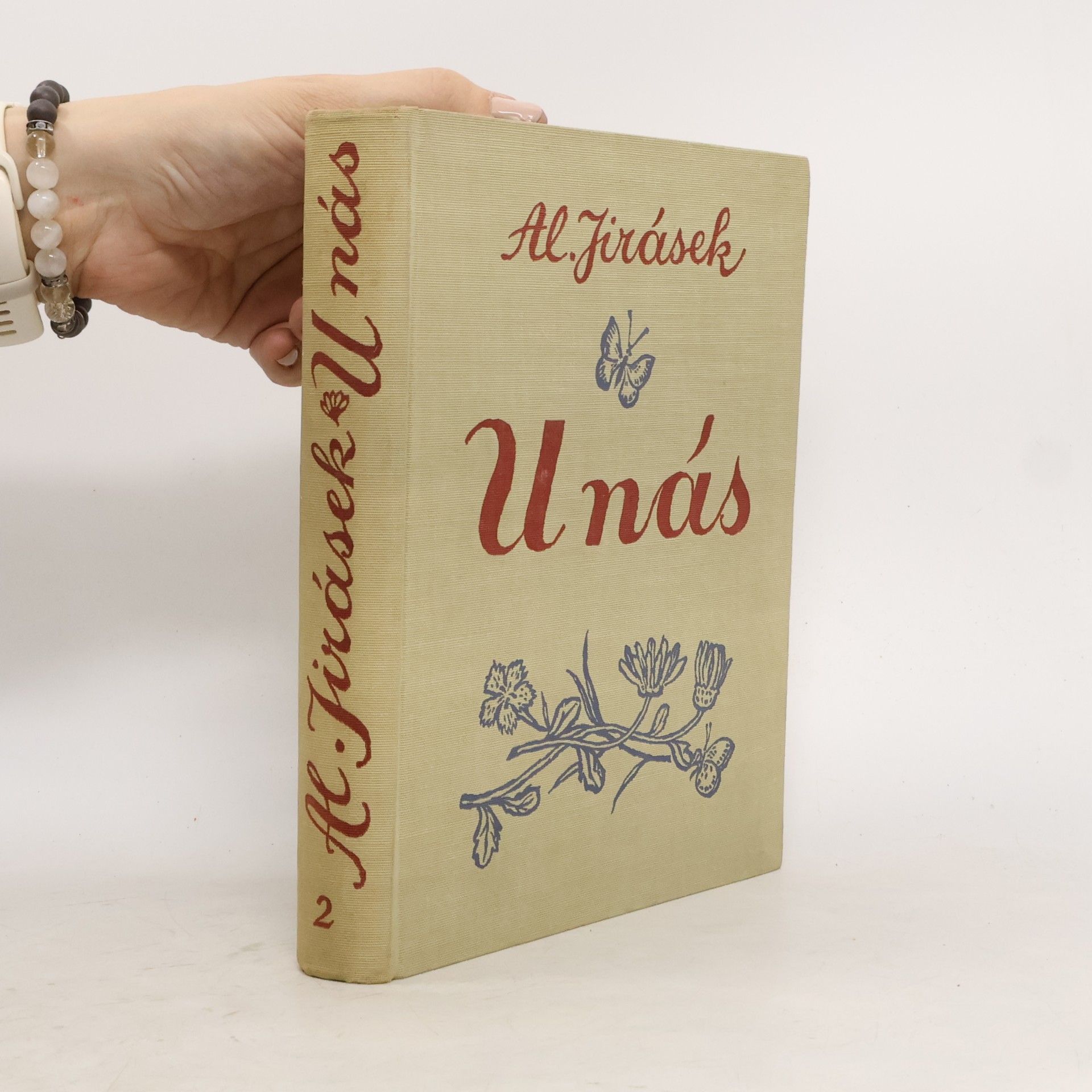 Alois Jirásek U nás. Nová kronika. Kniha druhá, Novina