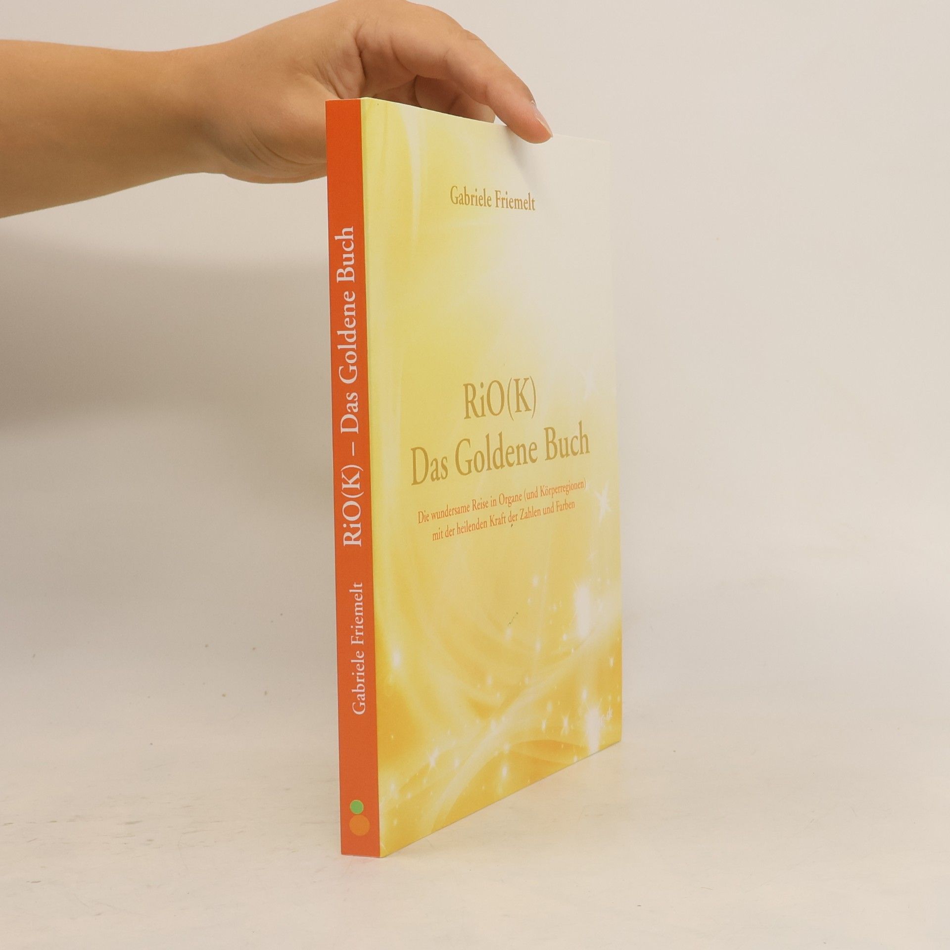 Gabriele Friemelt RiOK - Das Goldene Buch