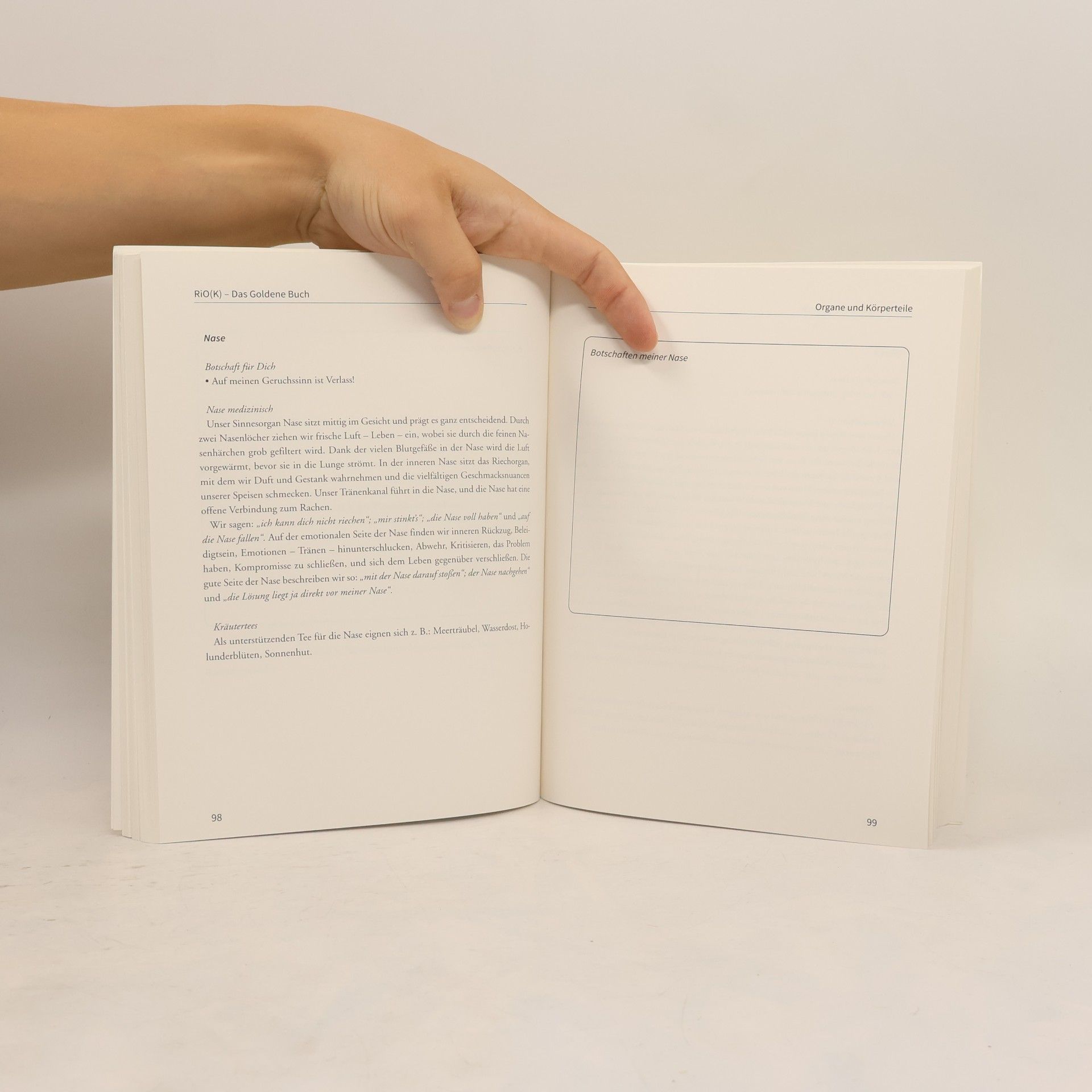 Gabriele Friemelt RiOK - Das Goldene Buch