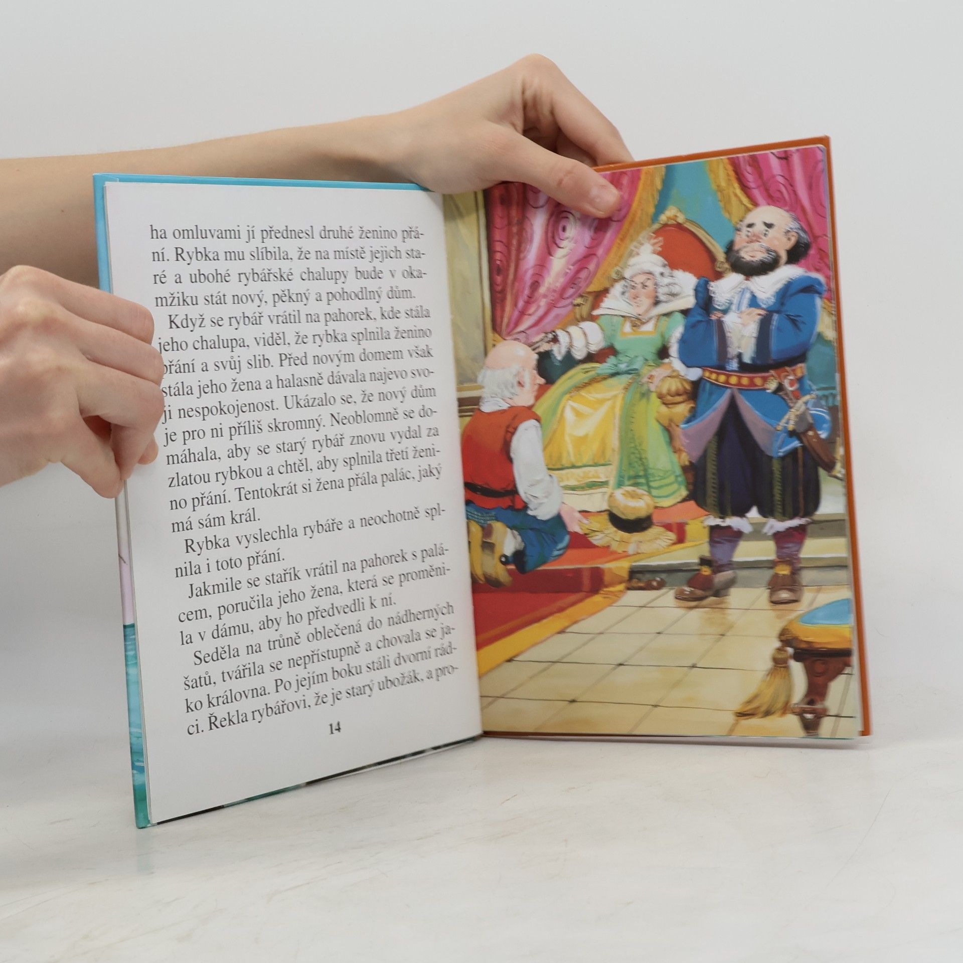 Autorenkollektiv O rybáři a zlaté rybce a jiné pohádky