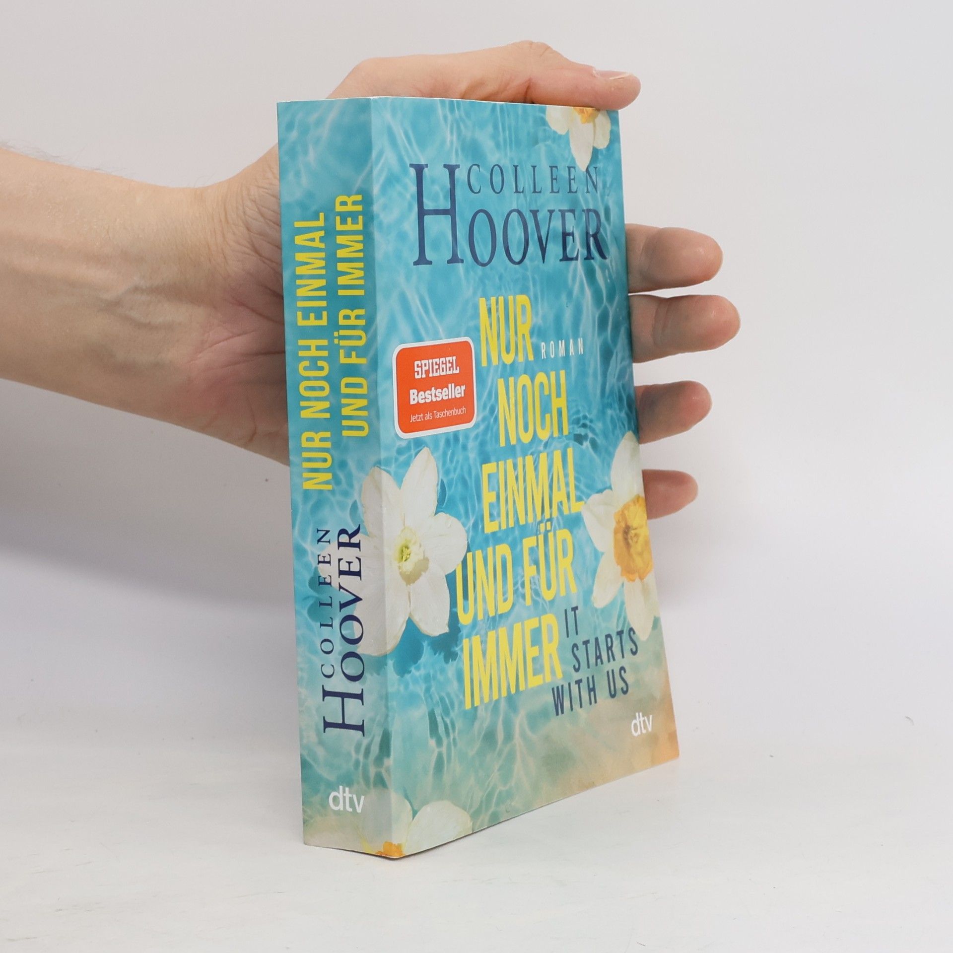 Colleen Hoover Nur noch einmal und für immer
