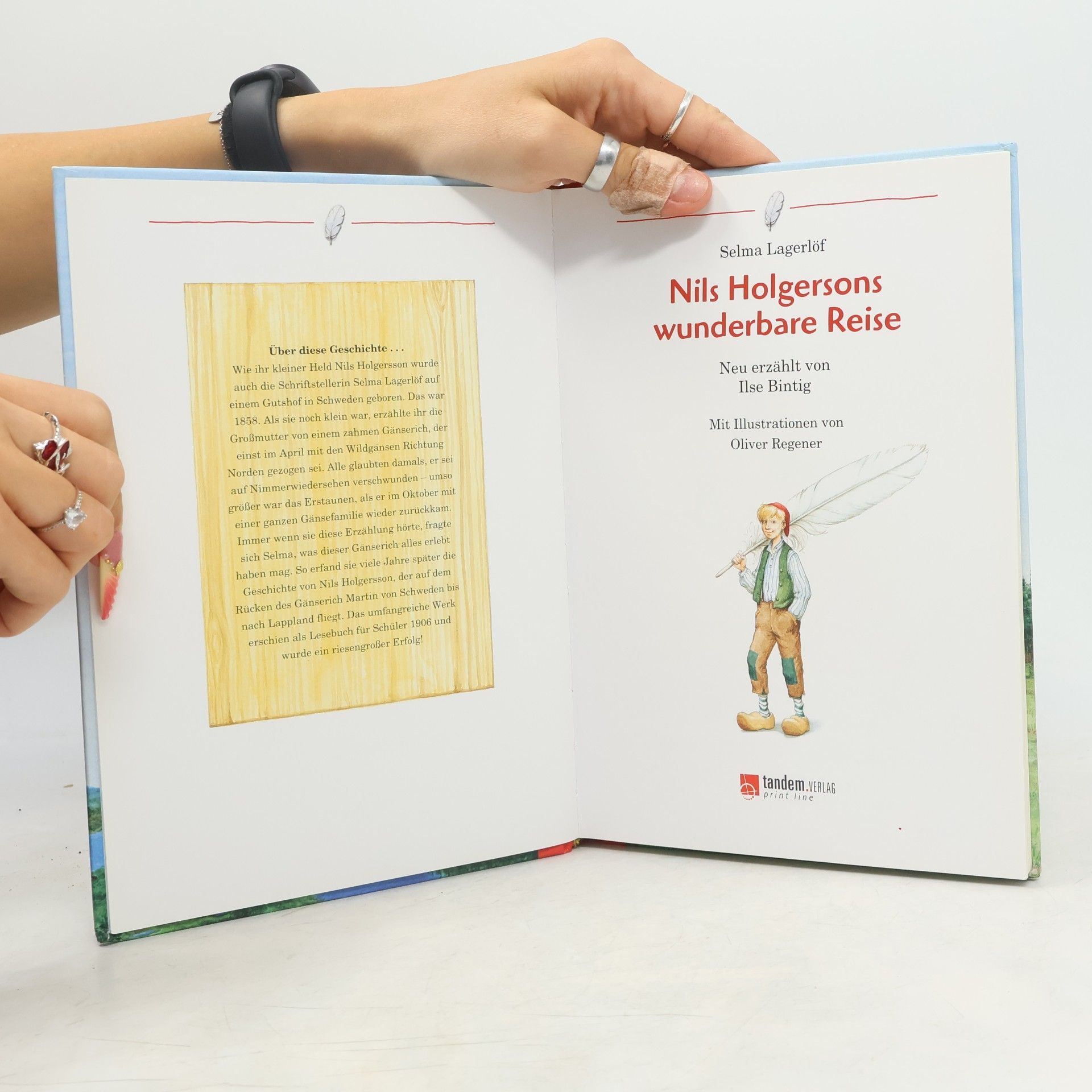 Selma Lagerlöf Nils Holgerssons wunderbare Reise