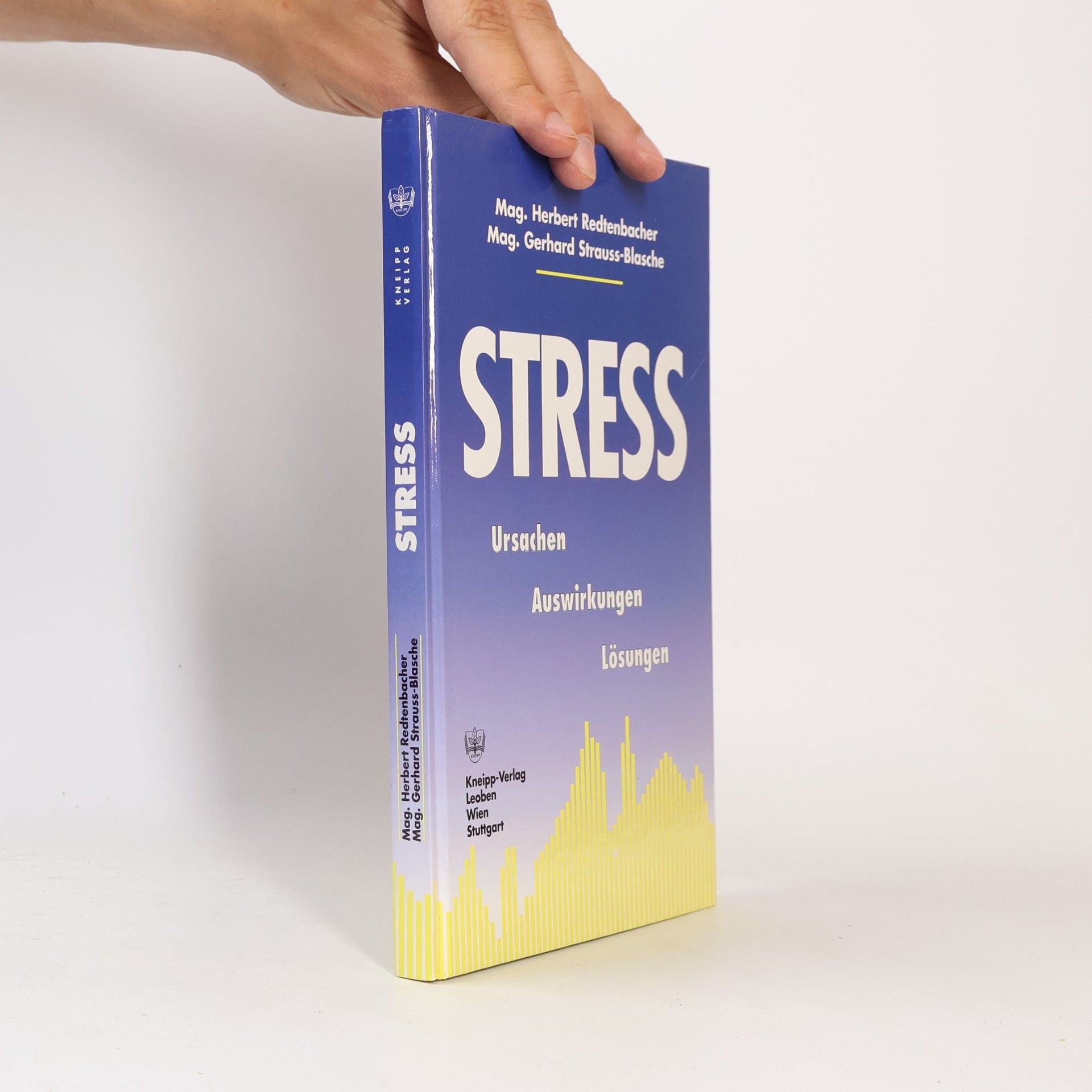 Autorenkollektiv Stress. Ursachen. Auswirkungen. Lösungen