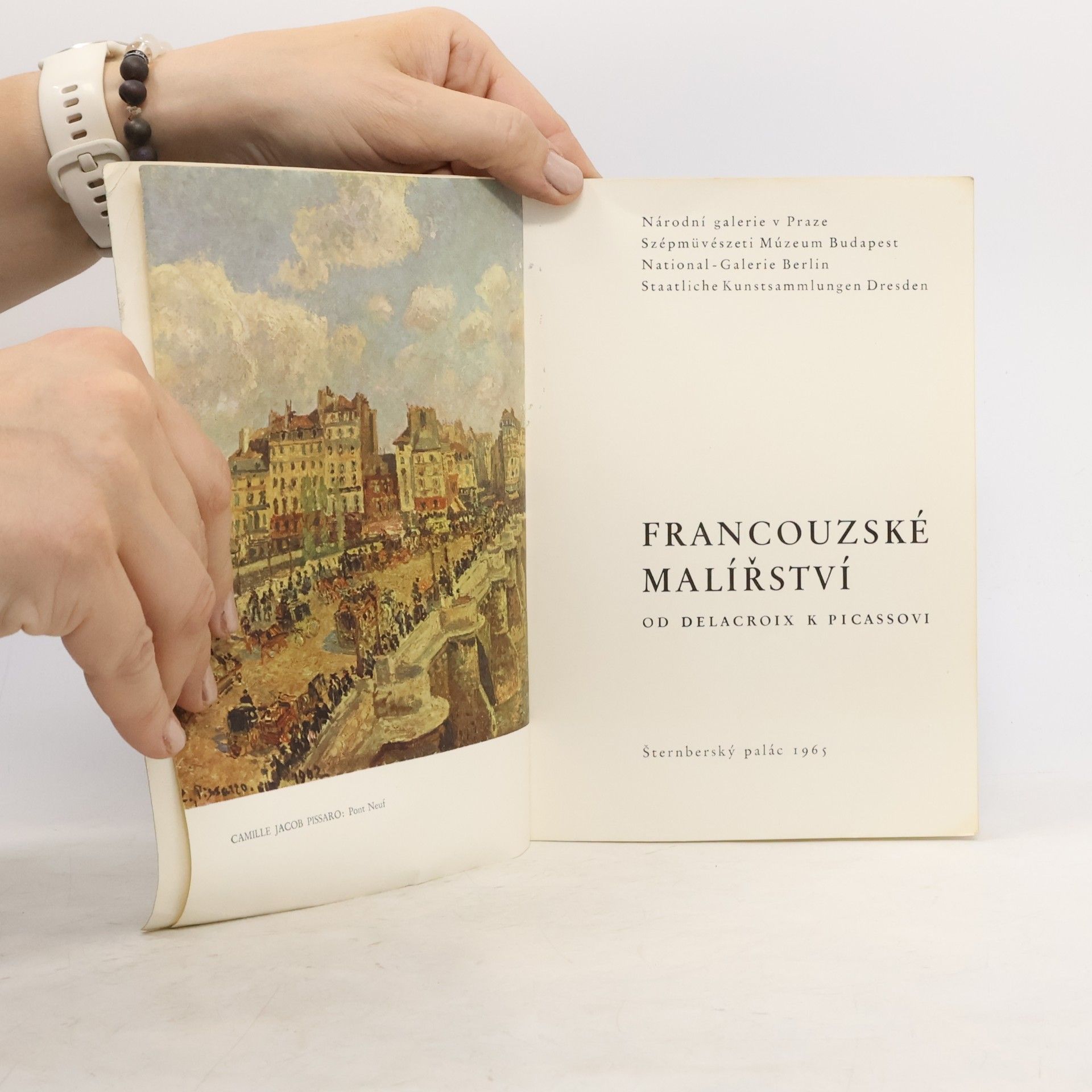 kolektiv Francouzské malířství: Od Delacroix k Picassovi