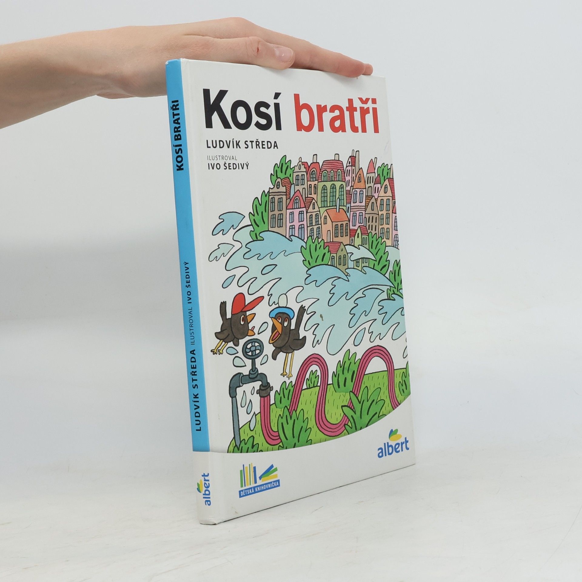 Kosí bratři