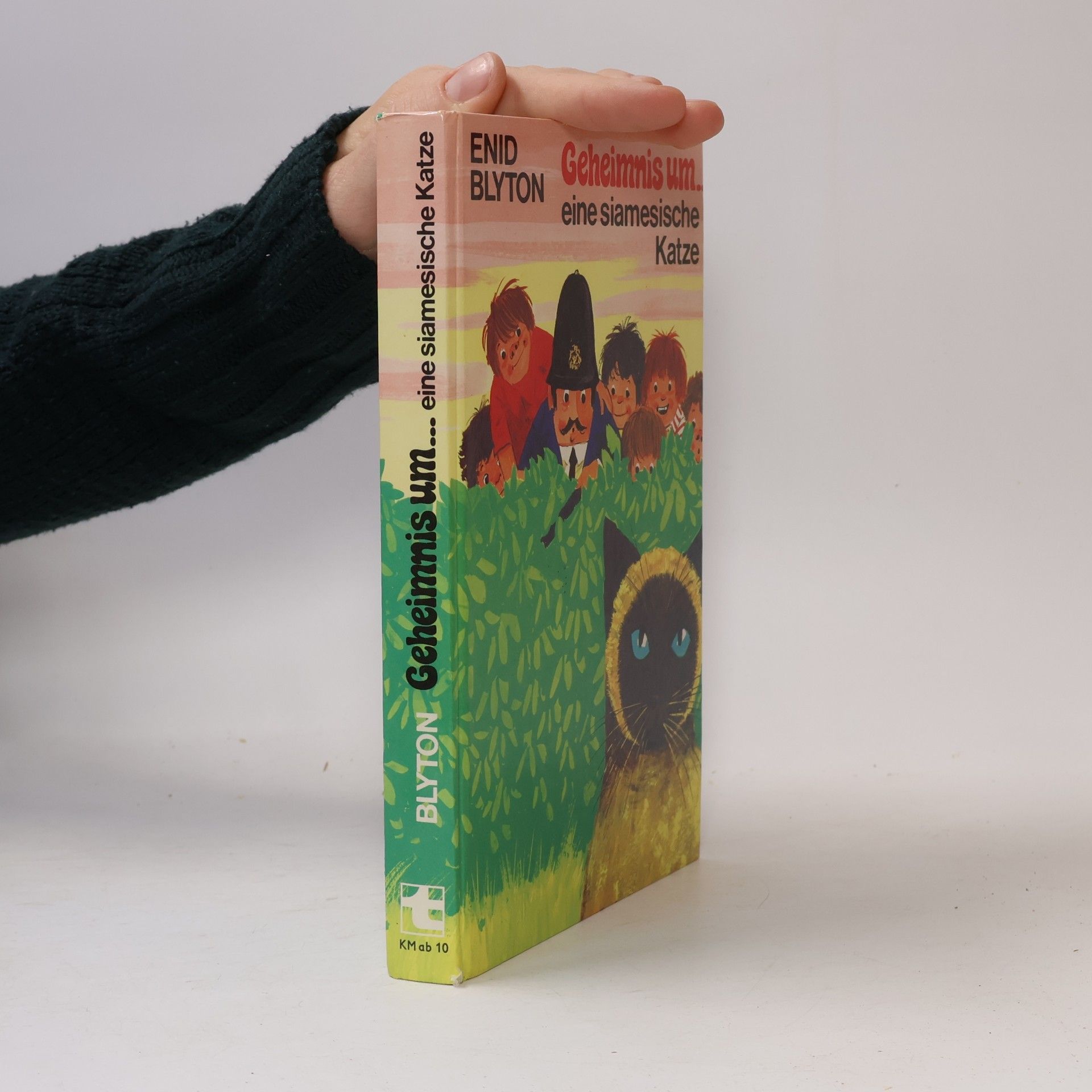 Enid Blyton Geheimnis um... eine siamesische Katze