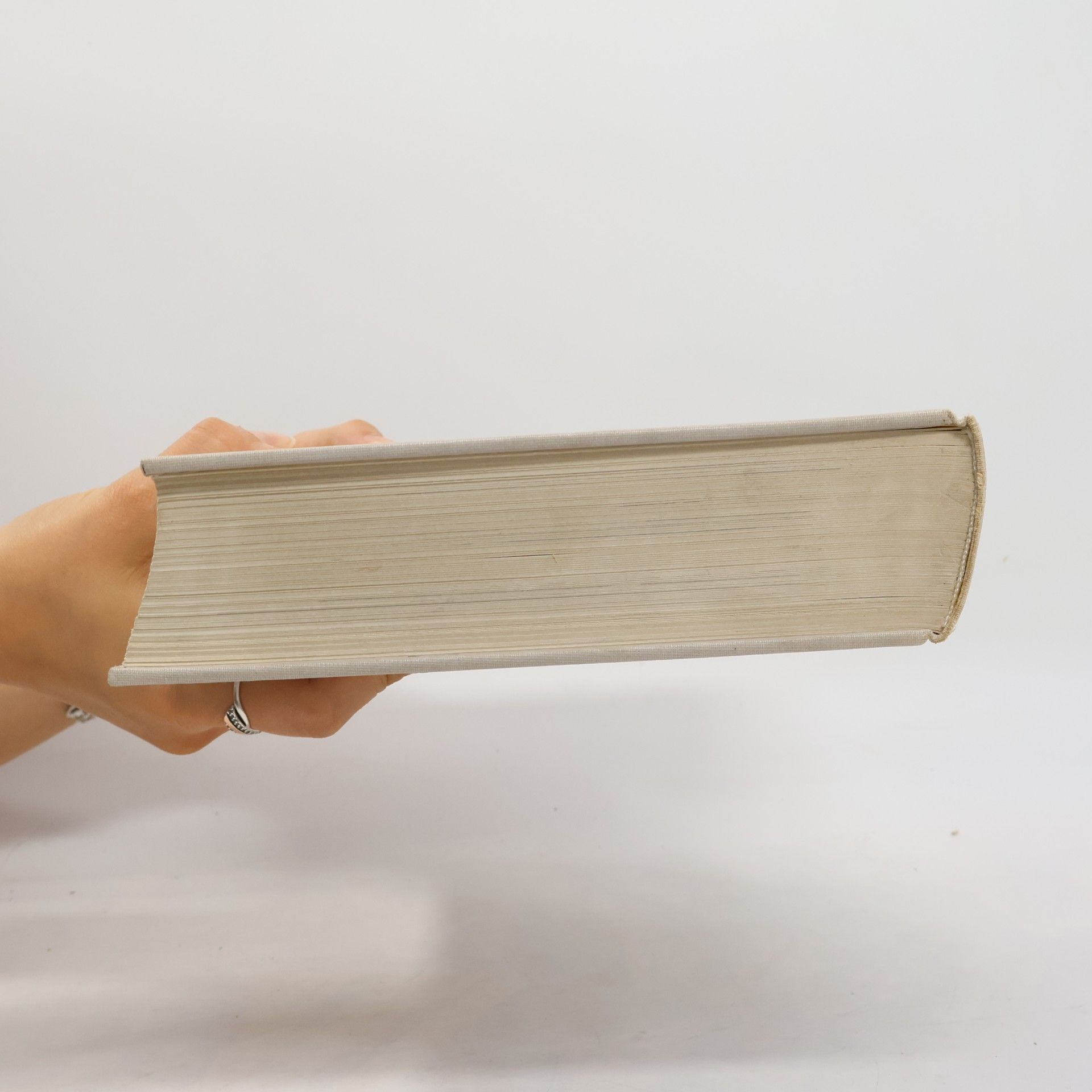 Autorenkollektiv Moderne französische Maler