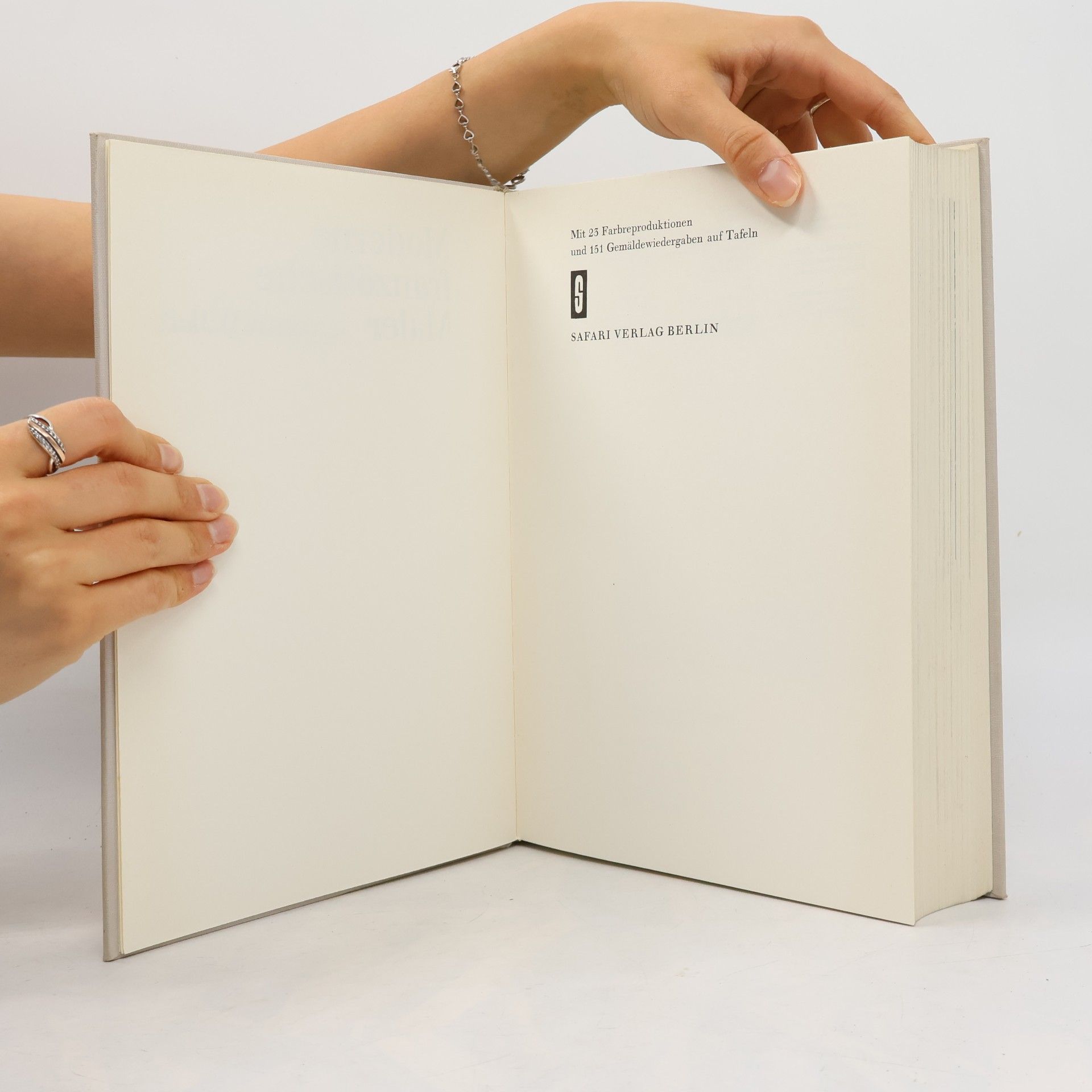 Autorenkollektiv Moderne französische Maler