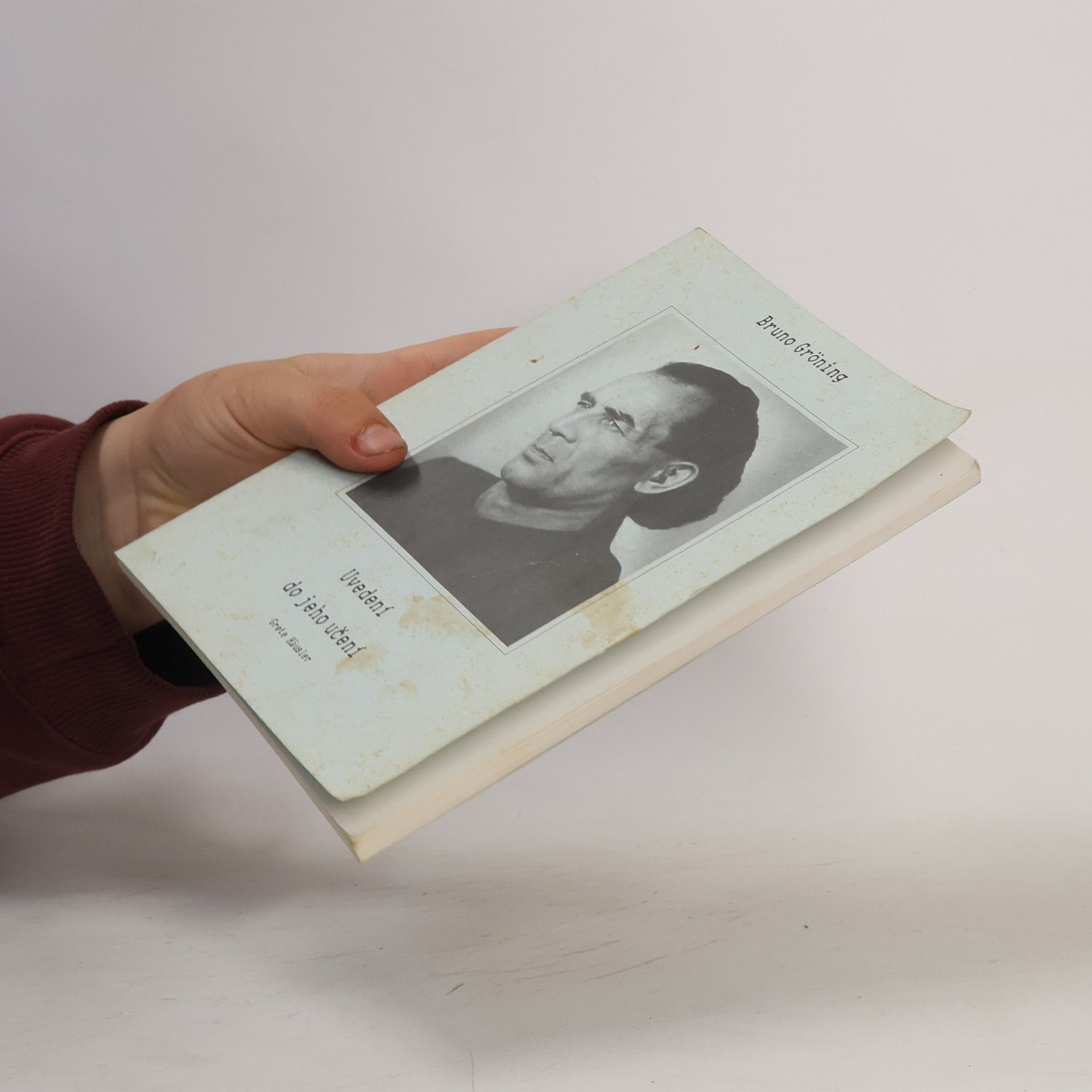 Grete Häusler Bruno Gröning, Uvedení do jeho učení