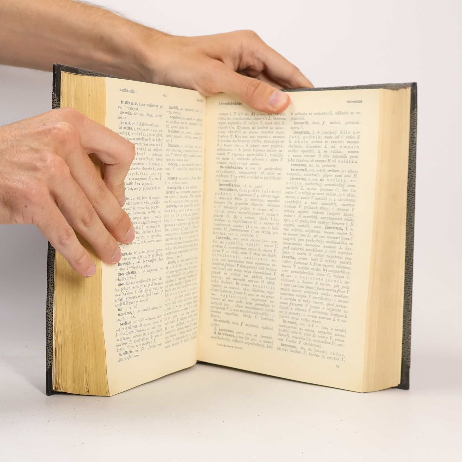 Josef Miroslav Pražák Latinsko-český slovník k potřebě gymnasií a reálných gymnasií