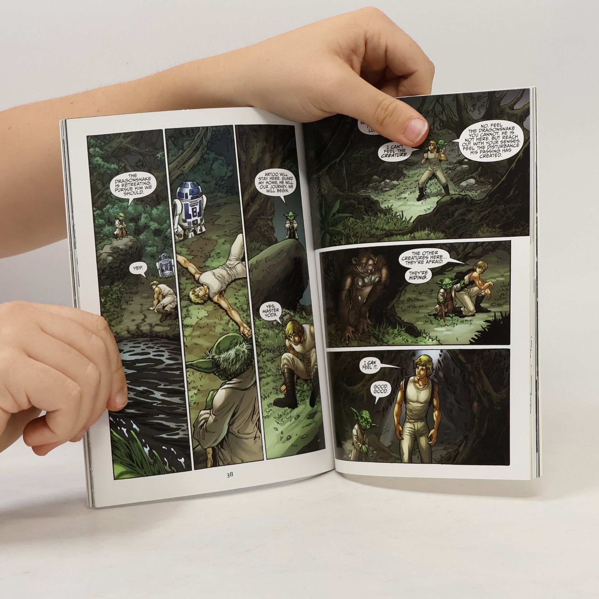Tom Taylor Star Wars Adventures: Luke Skywalker and the Treasure of the Dragonsnakes