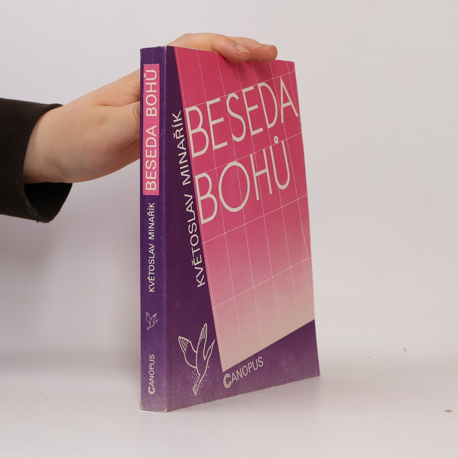Květoslav Minařík Beseda bohů