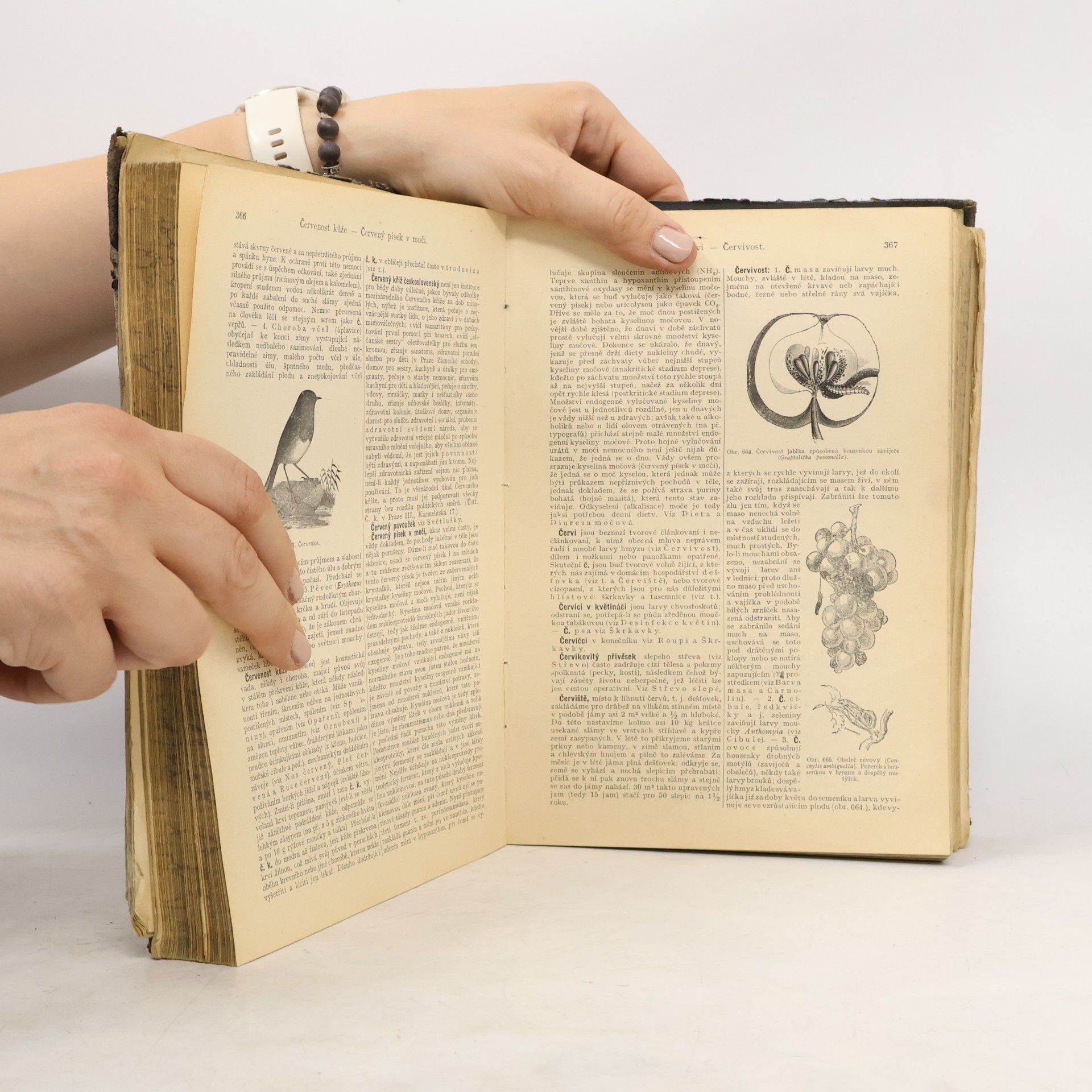 Kafka Josef Domácí vševěd. Díl I., A–H