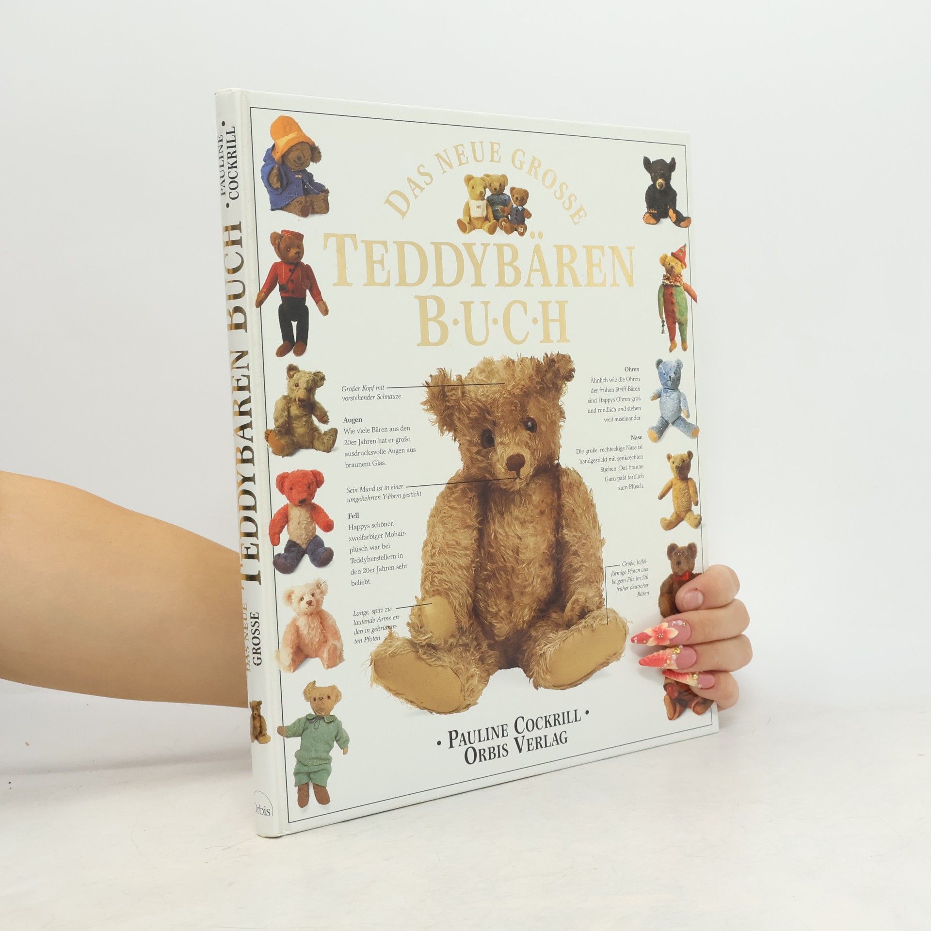 Pauline Cockrill Das grosse Buch der Teddybären
