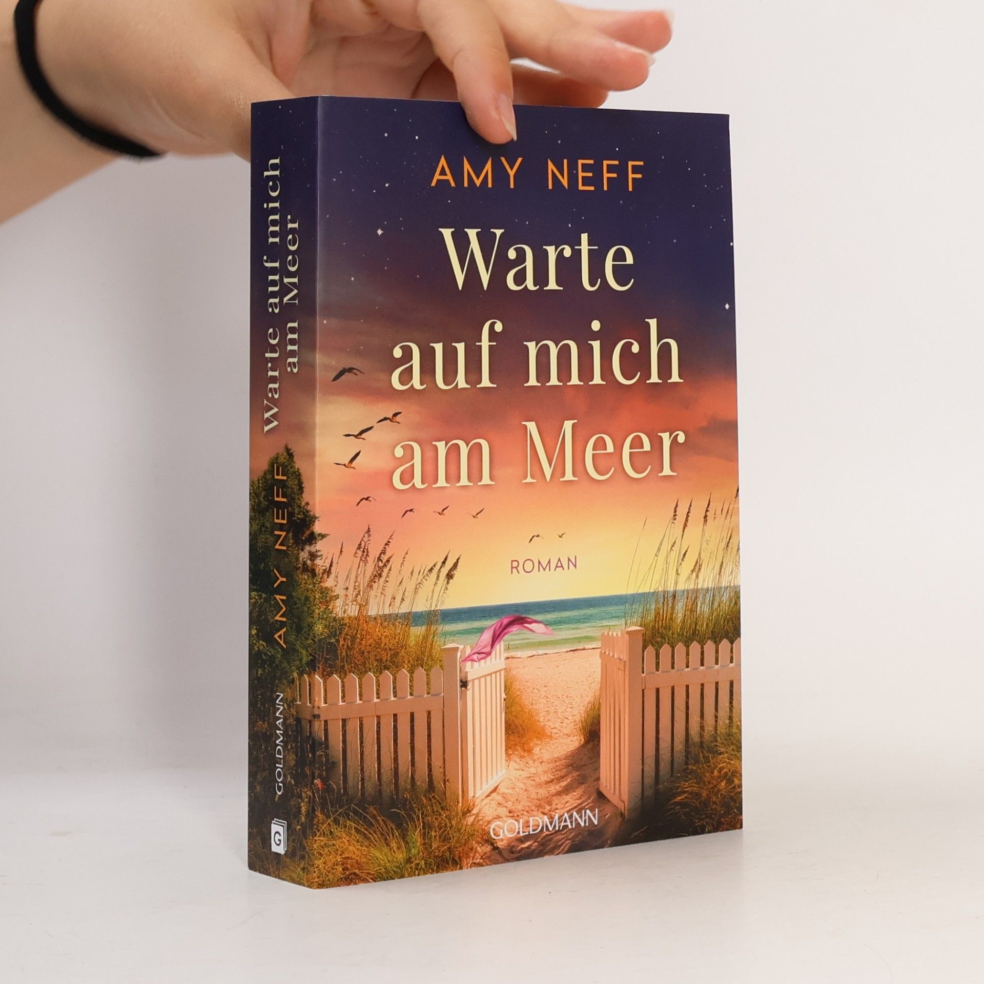Amy Neff Warte auf mich am Meer
