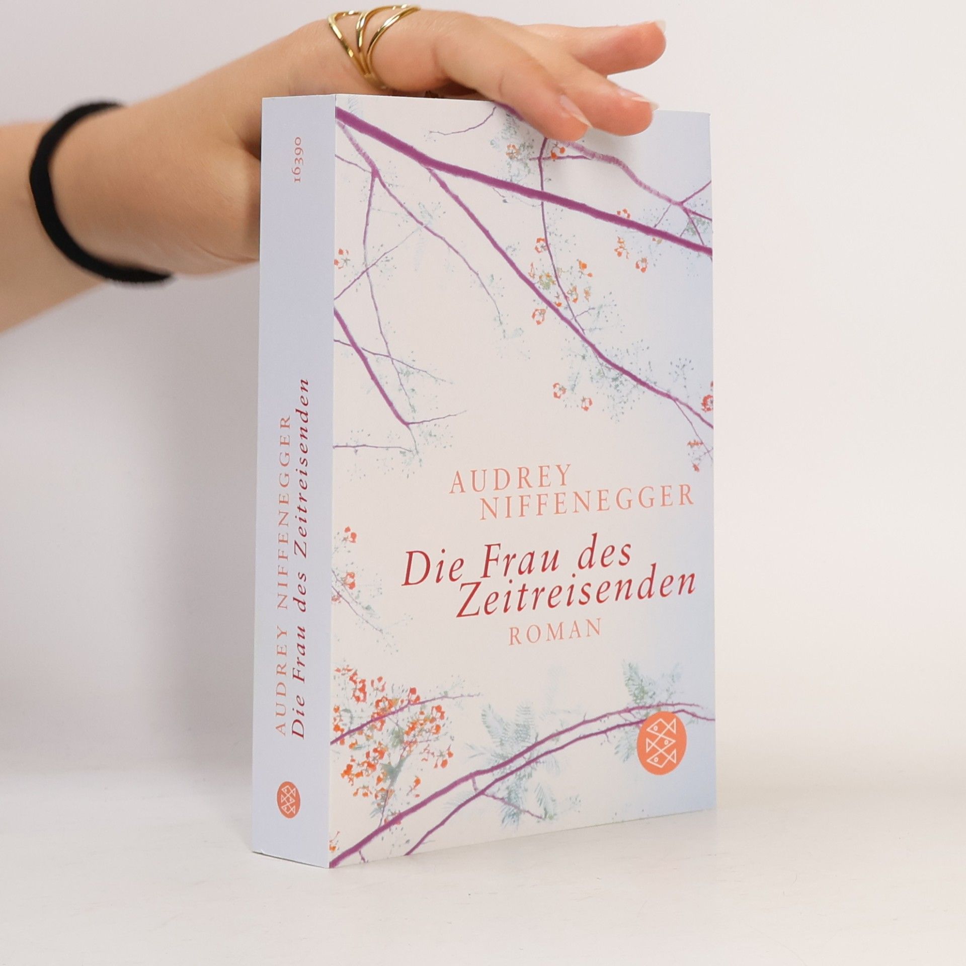 Audrey Niffenegger Die Frau des Zeitreisenden