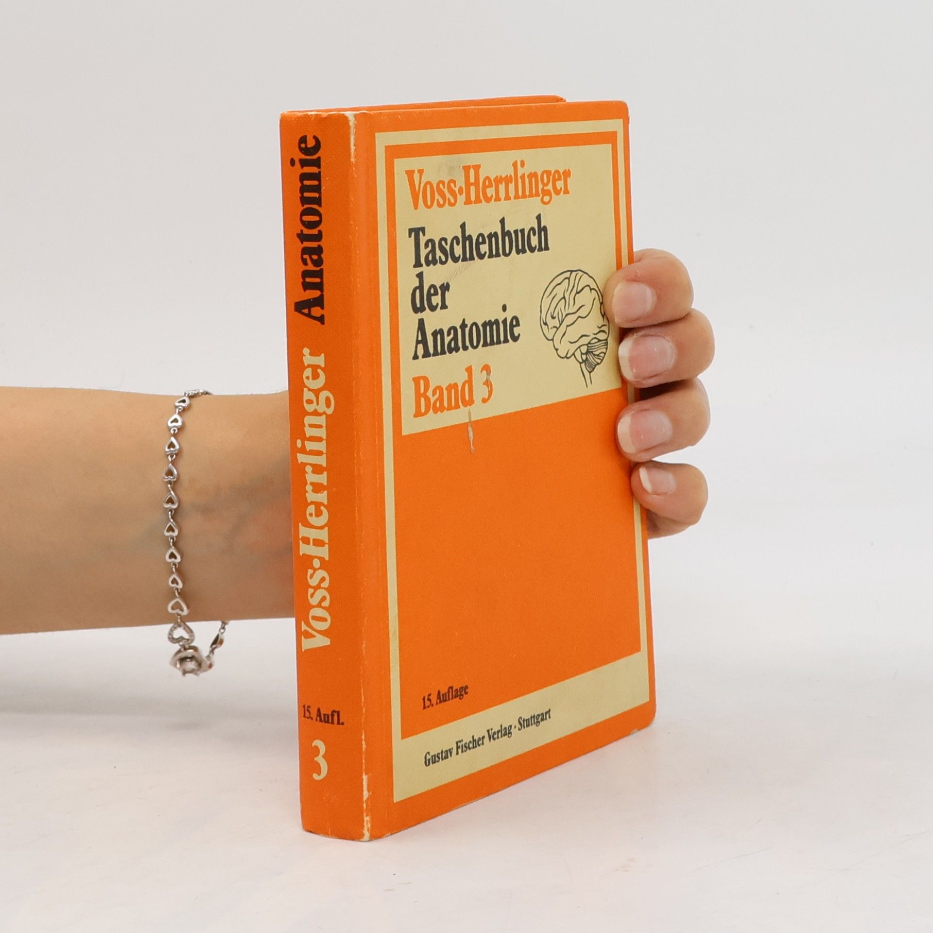 Taschenbuch der Anatomie Band 3