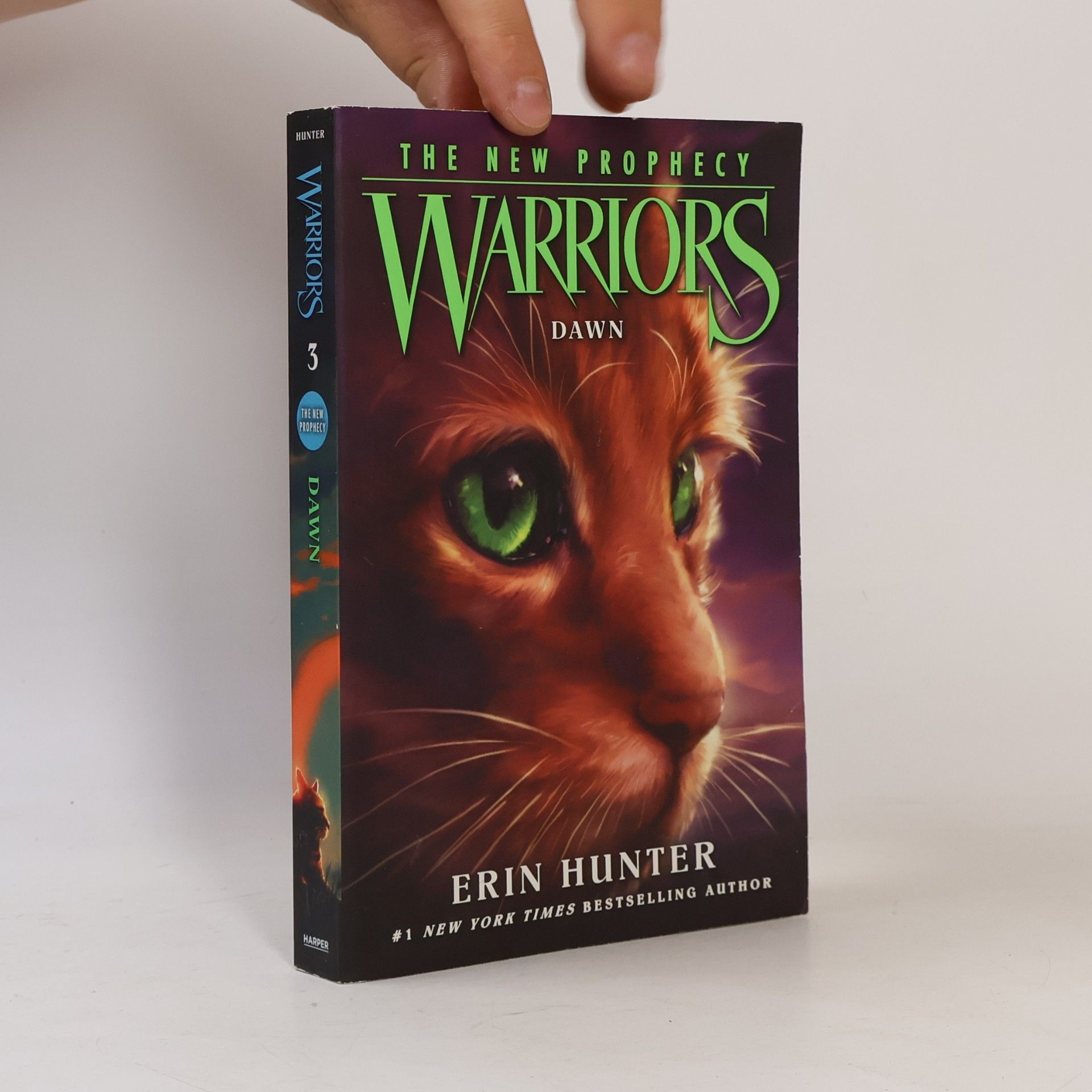 Erin Hunter Warriors. The New Prophecy 3. Dawn