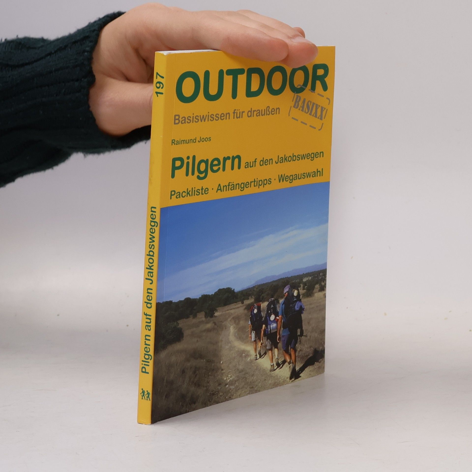 Raimund Joos Pilgern auf den Jakobswegen