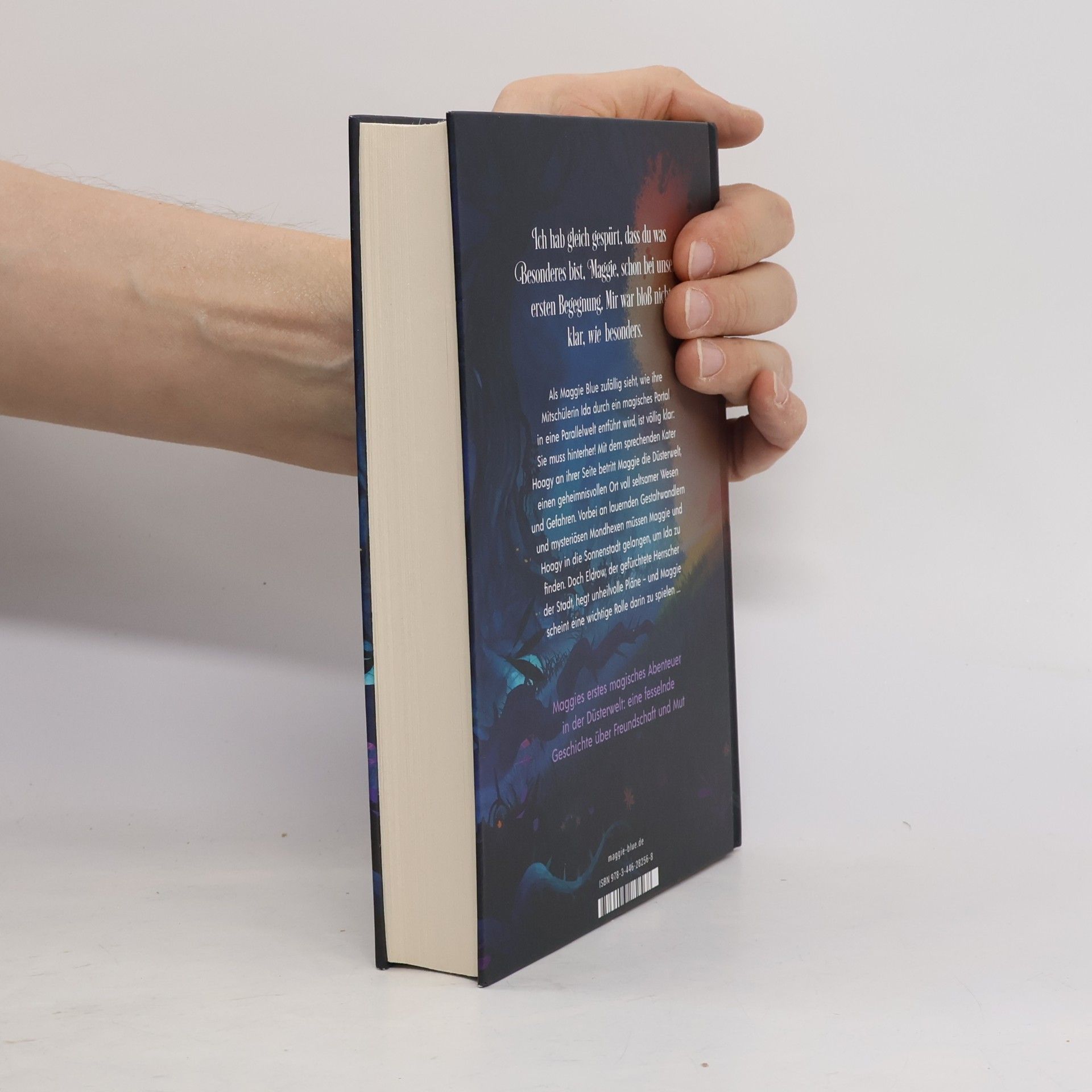 Anna Goodall Maggie Blue. Das Portal zur Düsterwelt