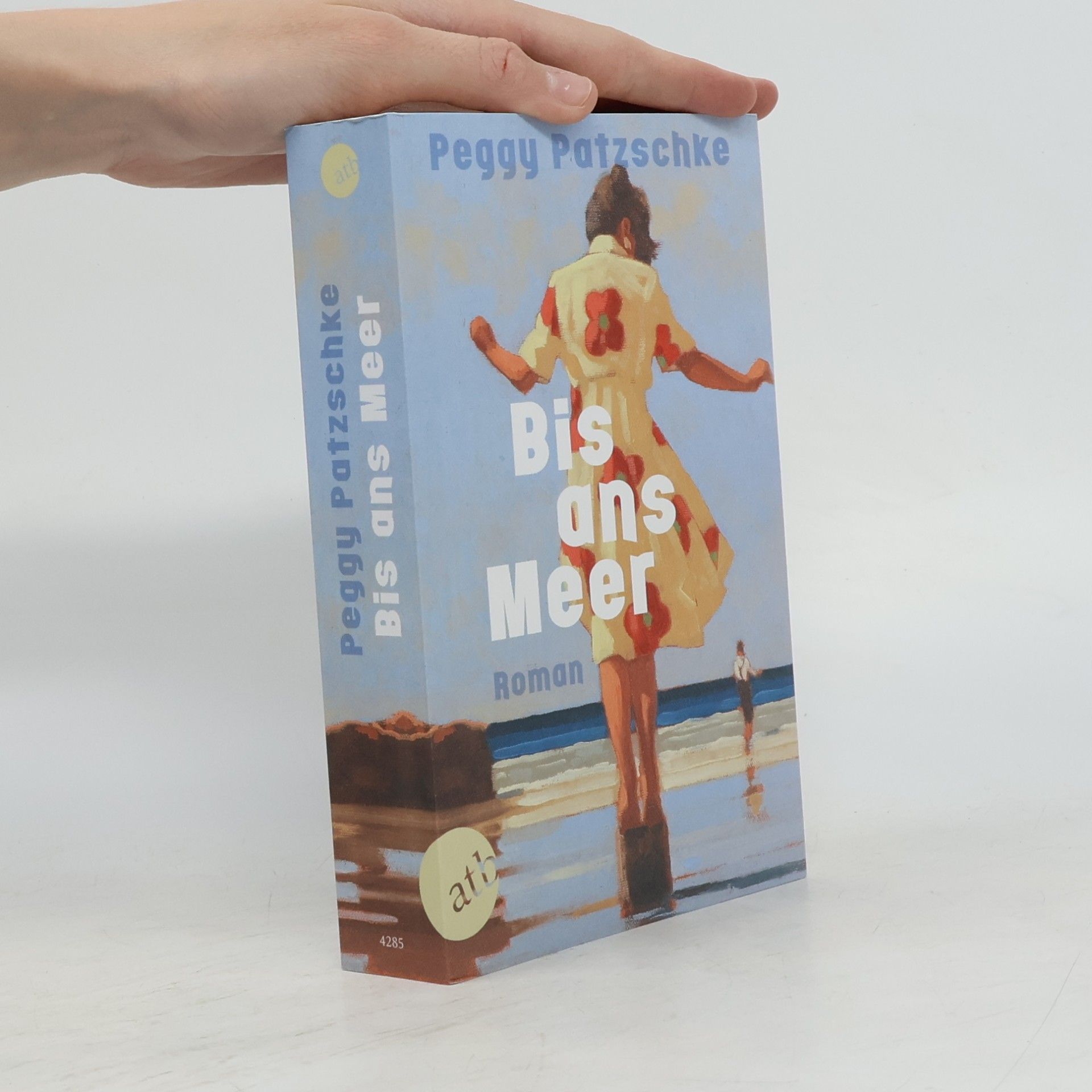 Peggy Patzschke Bis ans Meer: Roman
