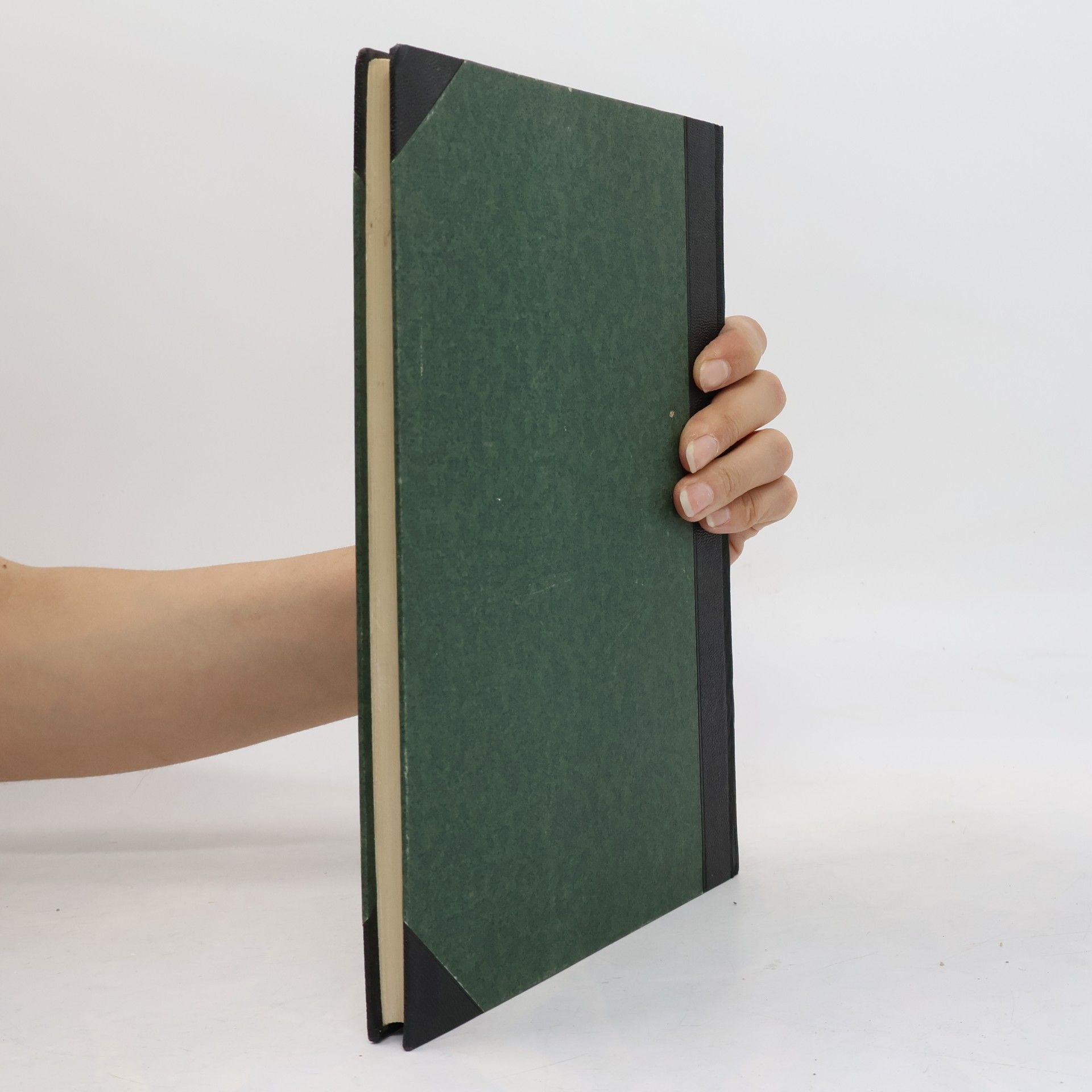 Ludwig Seitz Biologie und Pathologie des Weibes