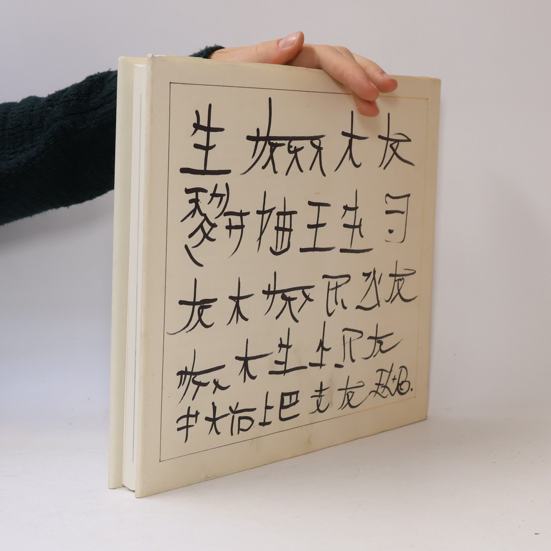 Zhou Xiaobiao Die Lokomotiven der chinesischen Eisenbahnen