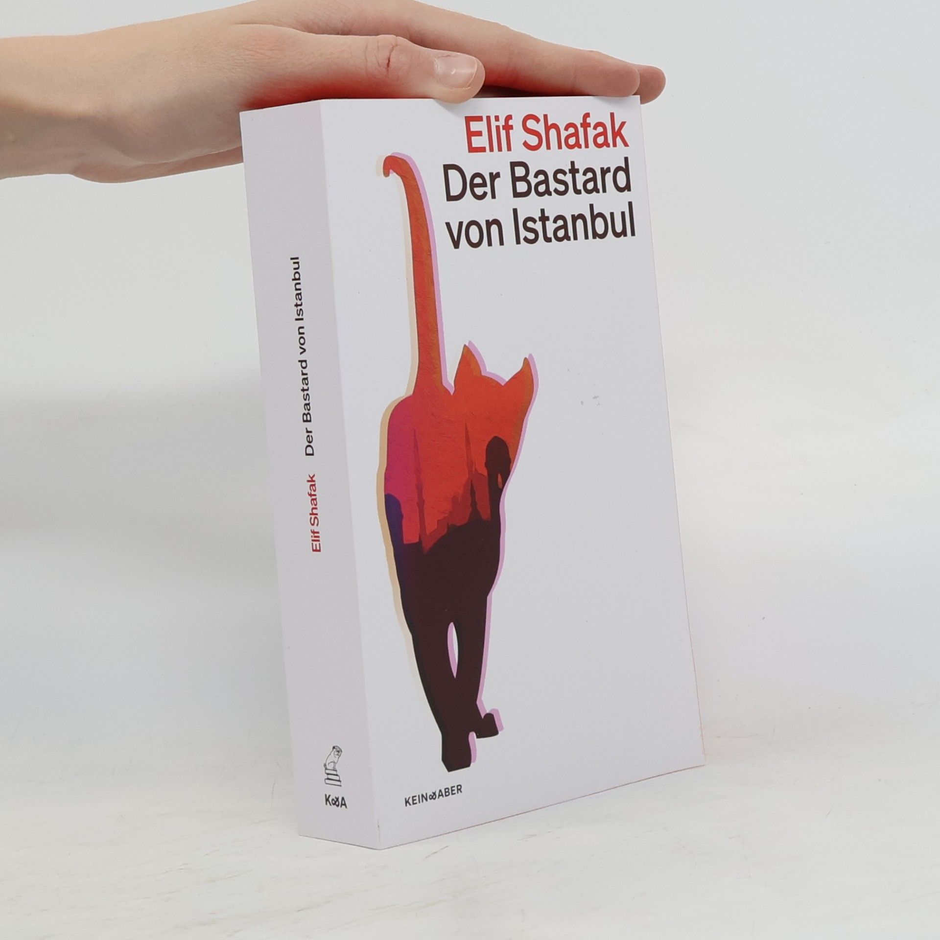 Elif Şafak Der Bastard von Istanbul
