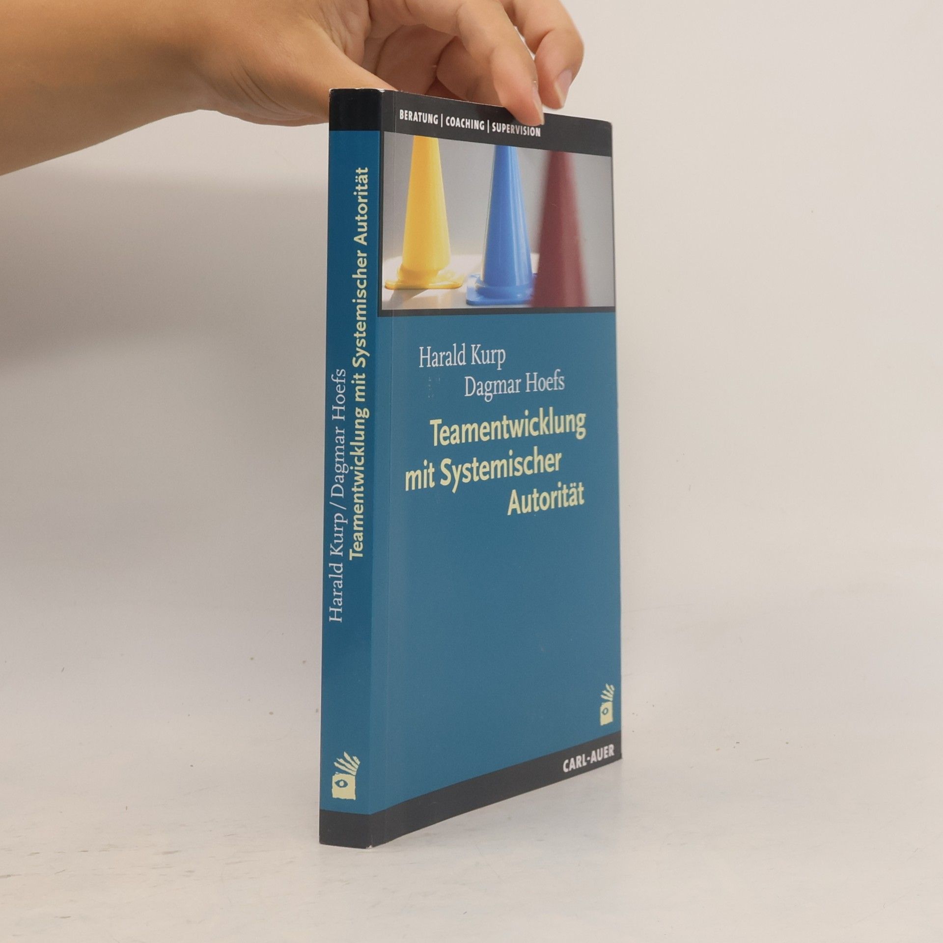 Harald Kurp Teamentwicklung mit Systemischer Autorität