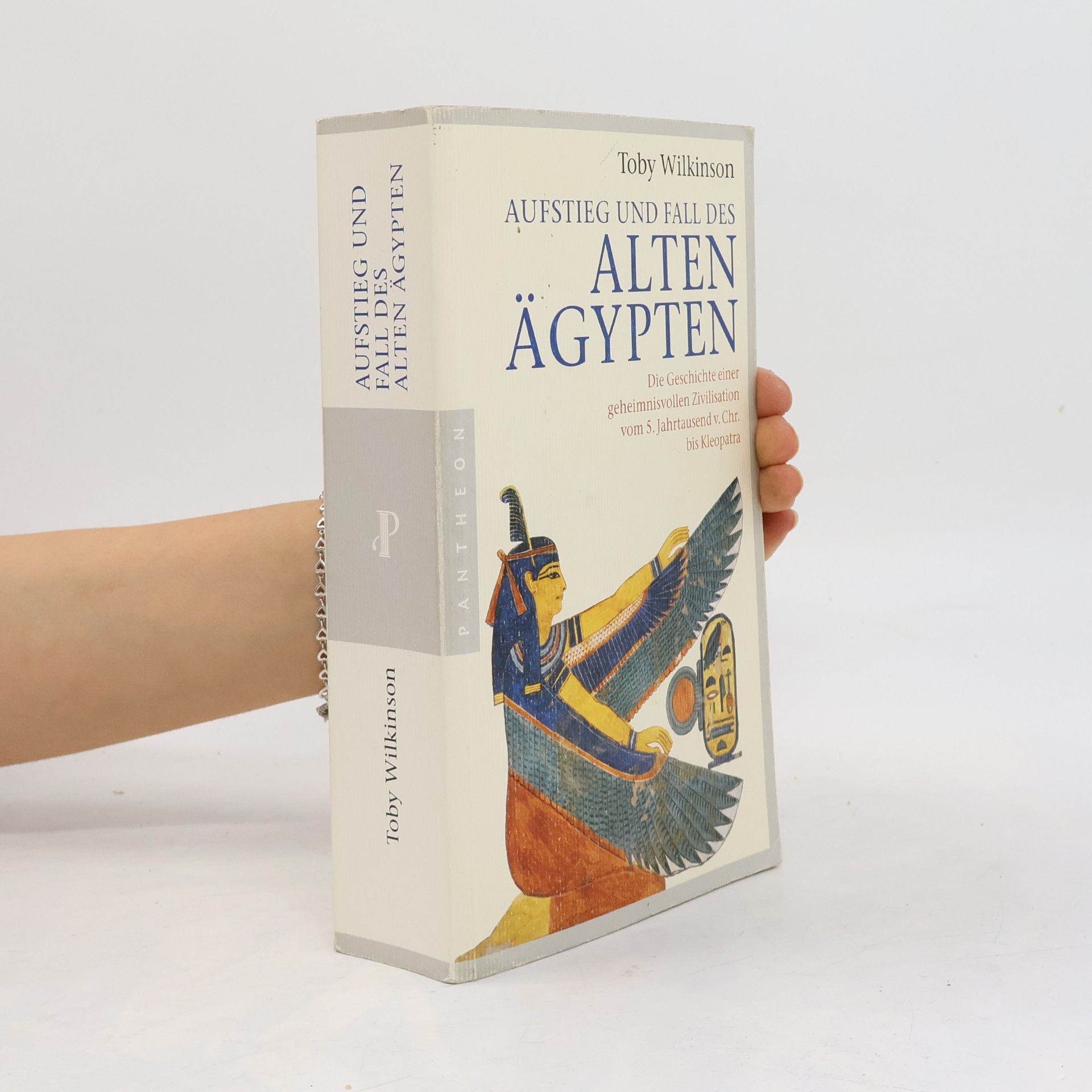 Toby Wilkinson Aufstieg und Fall des alten Ägypten