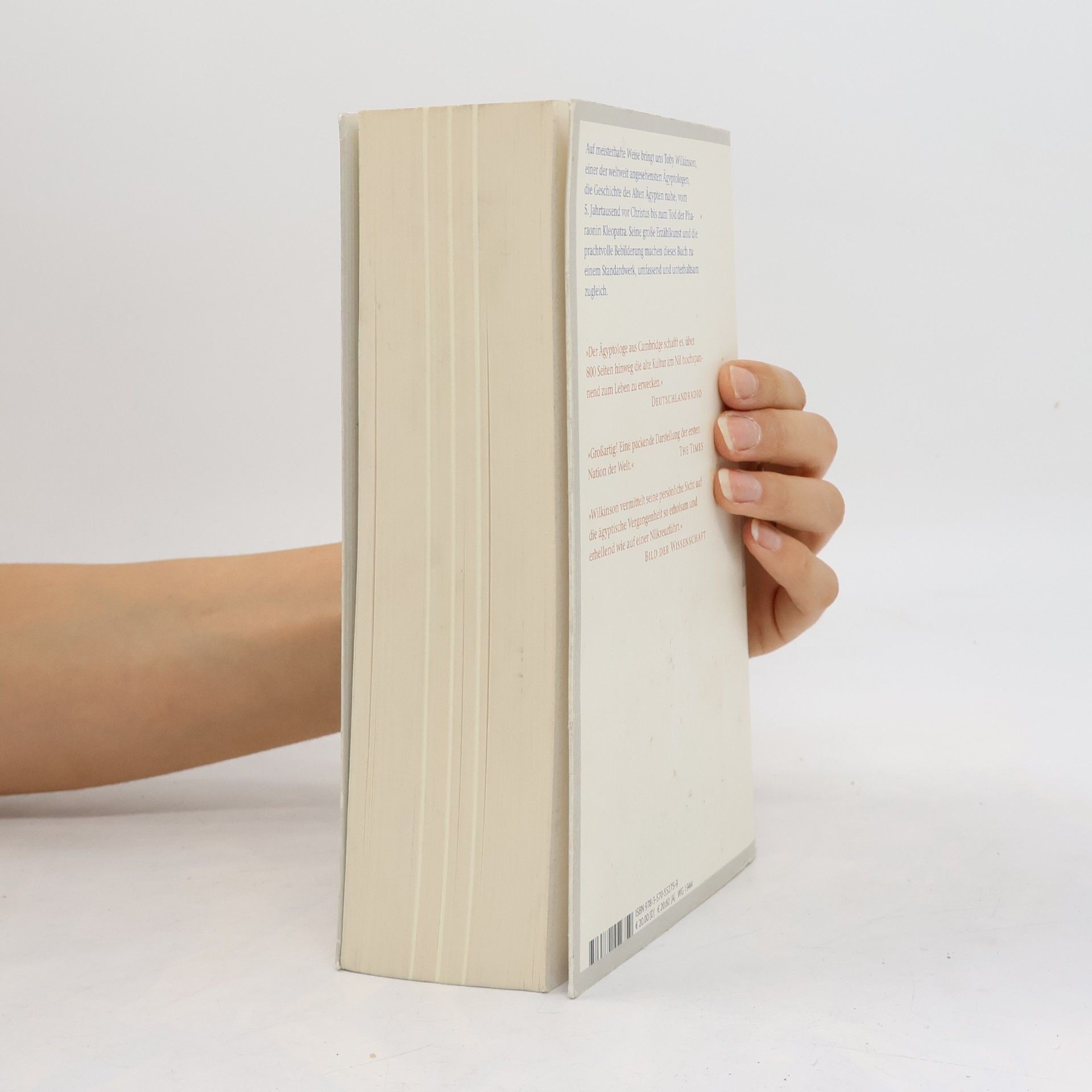 Toby Wilkinson Aufstieg und Fall des alten Ägypten