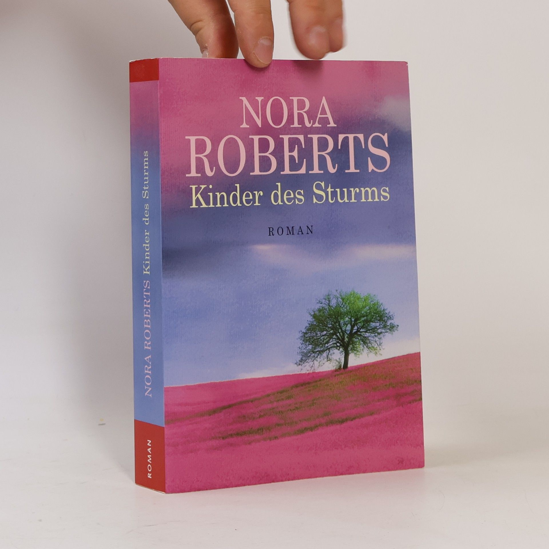 Nora Roberts Kinder des Sturms