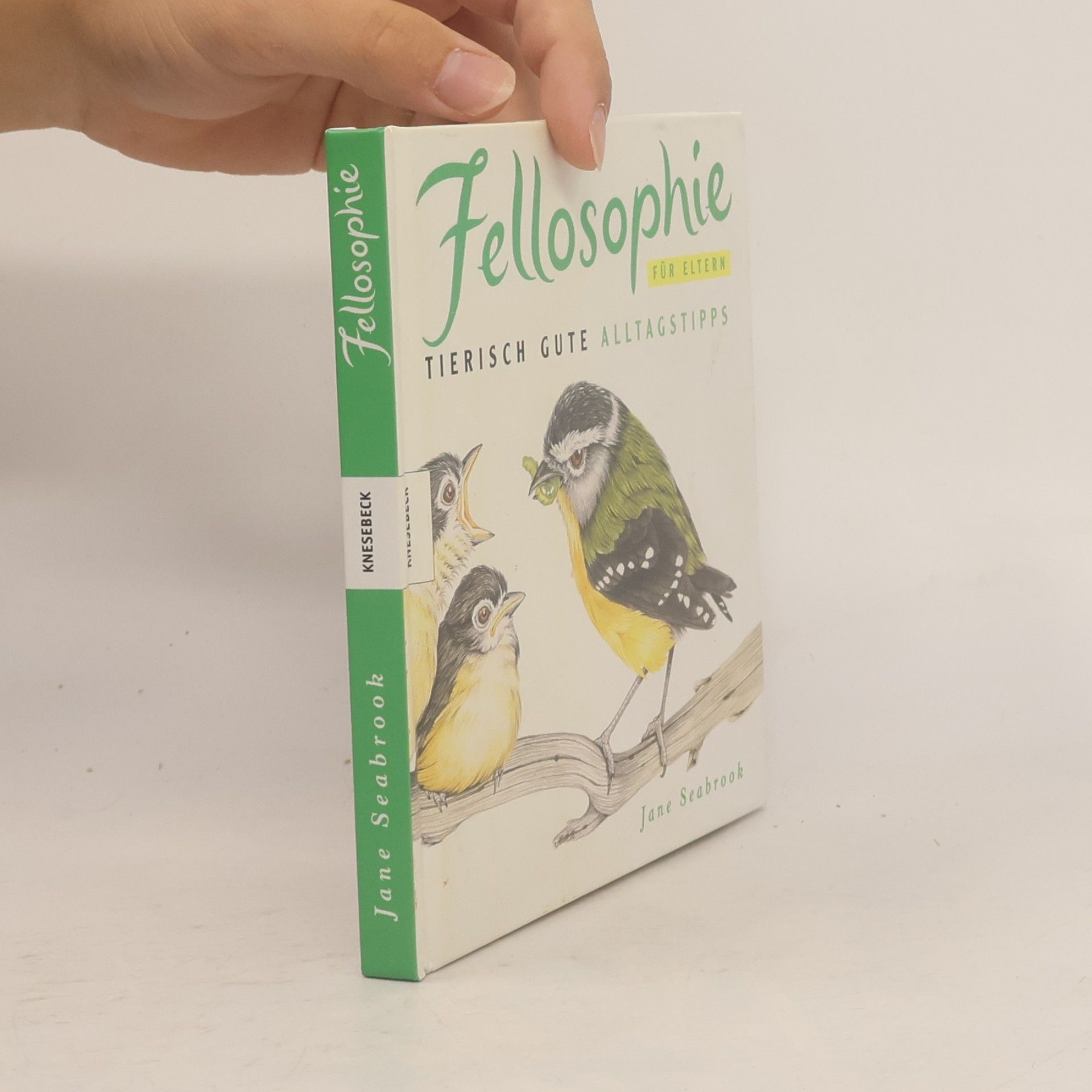 Jane Seabrook Fellosophie für eltern: Tierisch gute alltagstipps