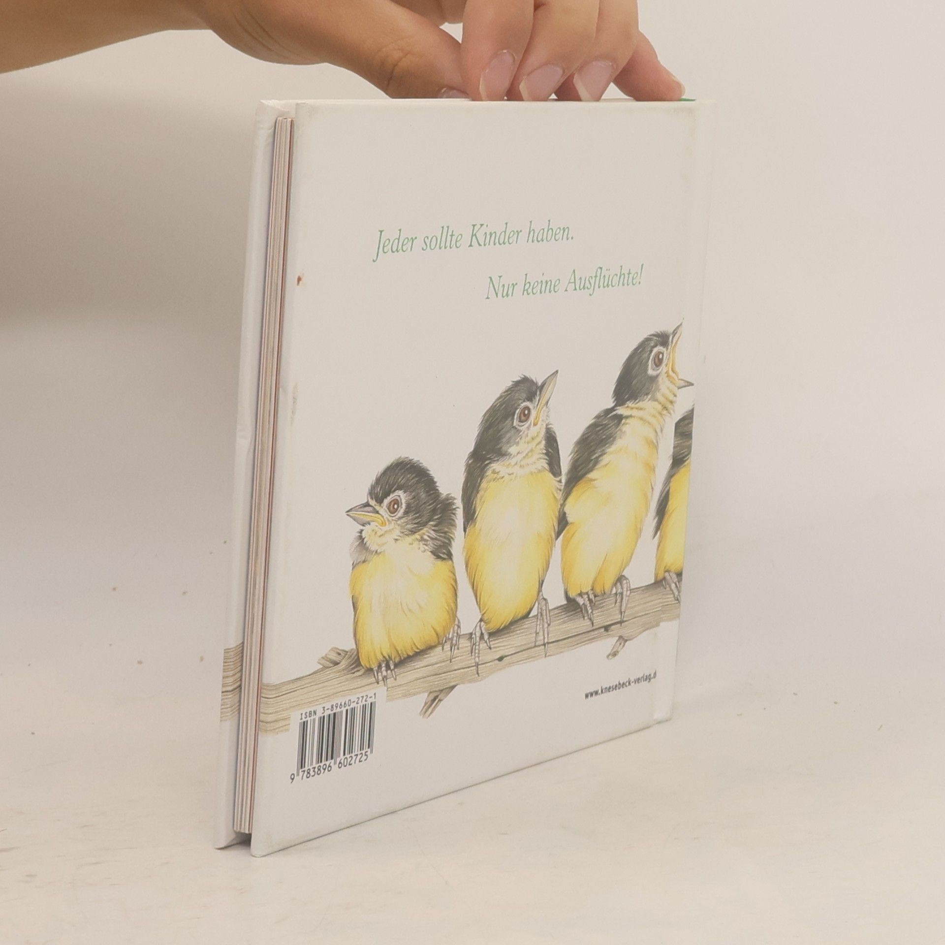 Jane Seabrook Fellosophie für eltern: Tierisch gute alltagstipps